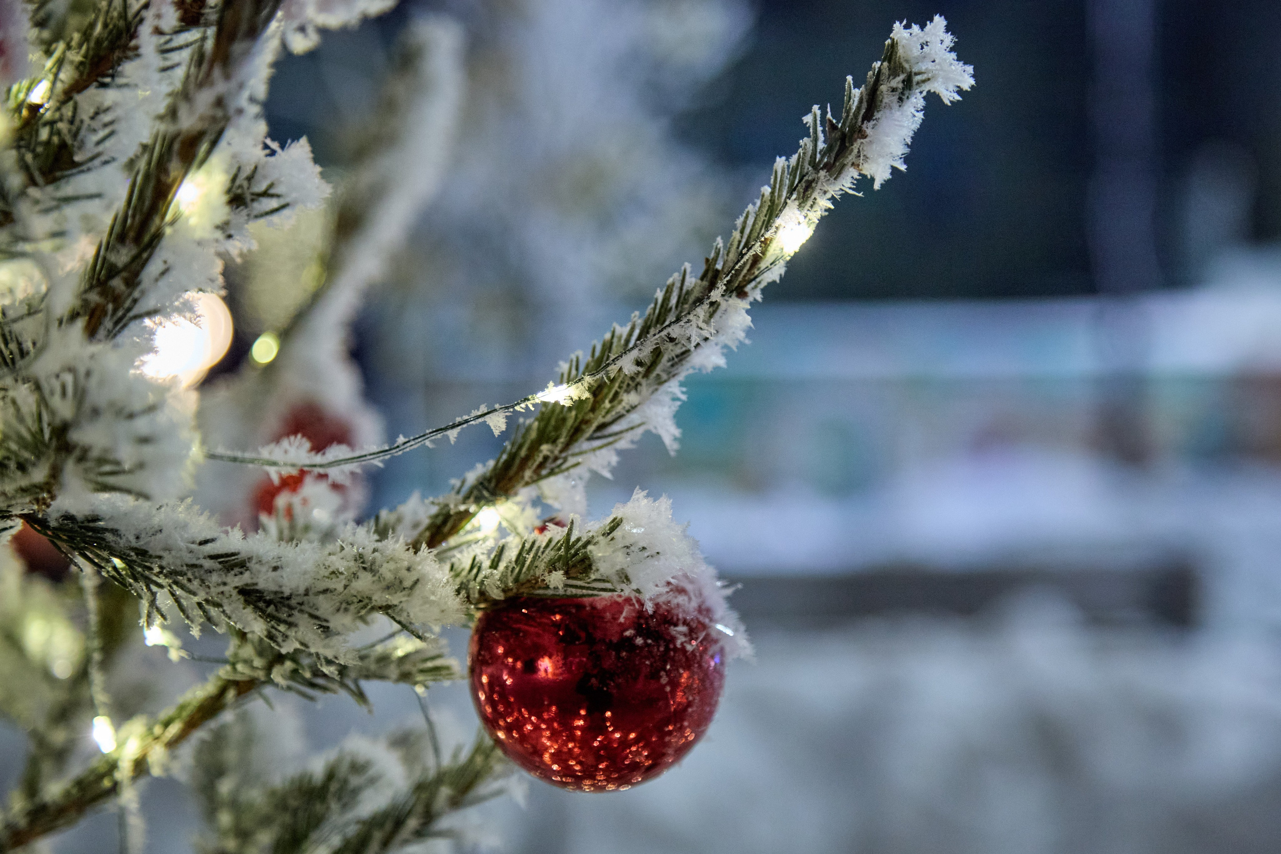 Новогодний Омск 2025. Фотограф Омск | Александр Вандеров