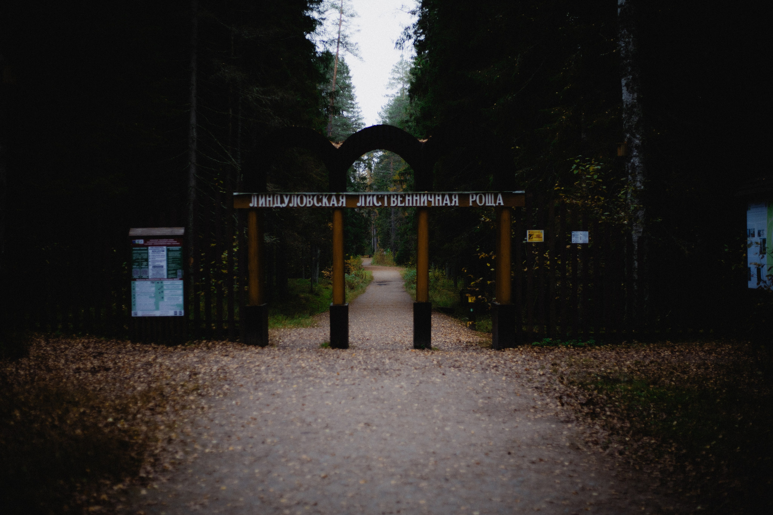 № 40. WAYHAY — Портретный фотограф в Санкт-Петербурге