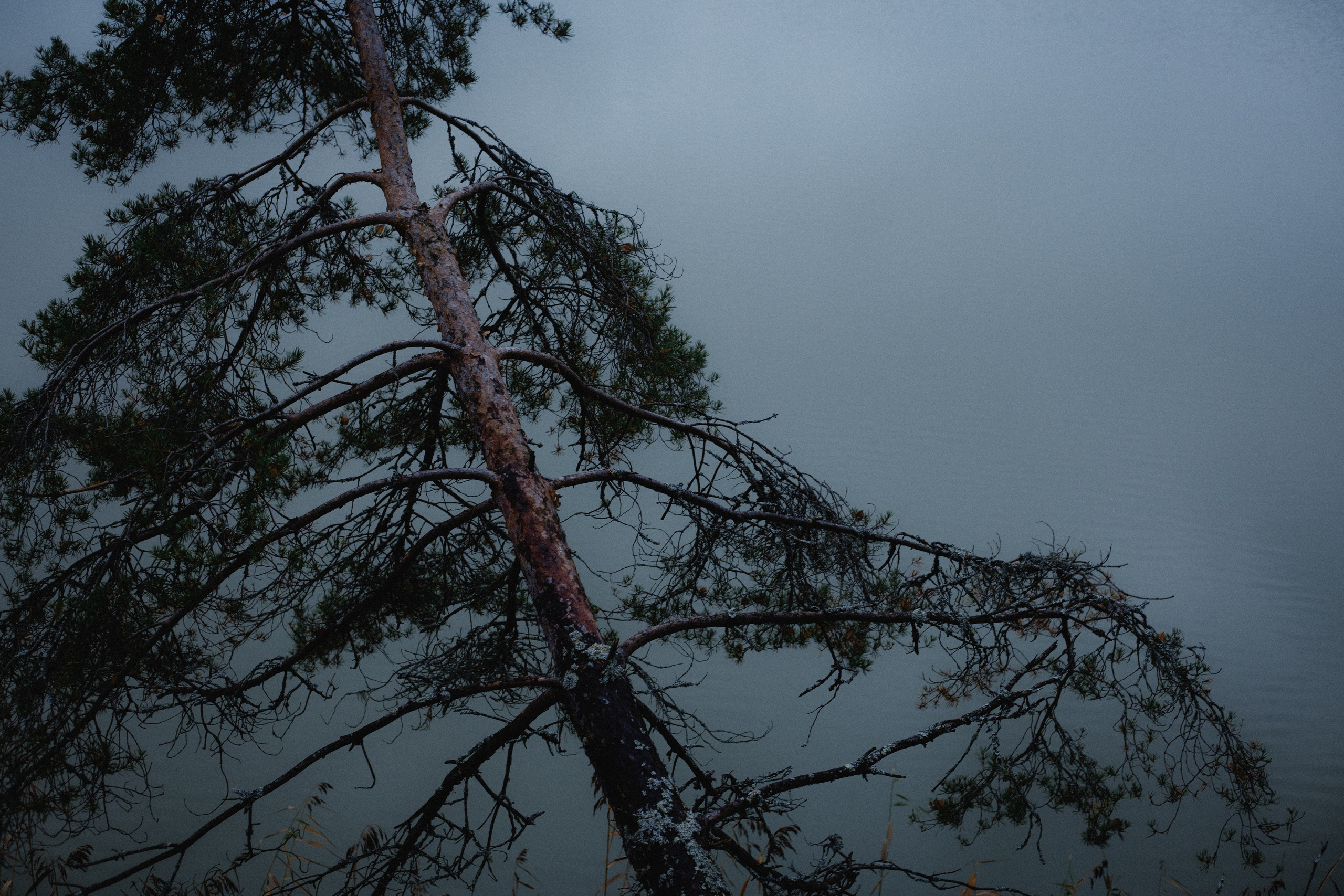 № 45. WAYHAY — Портретный фотограф в Санкт-Петербурге