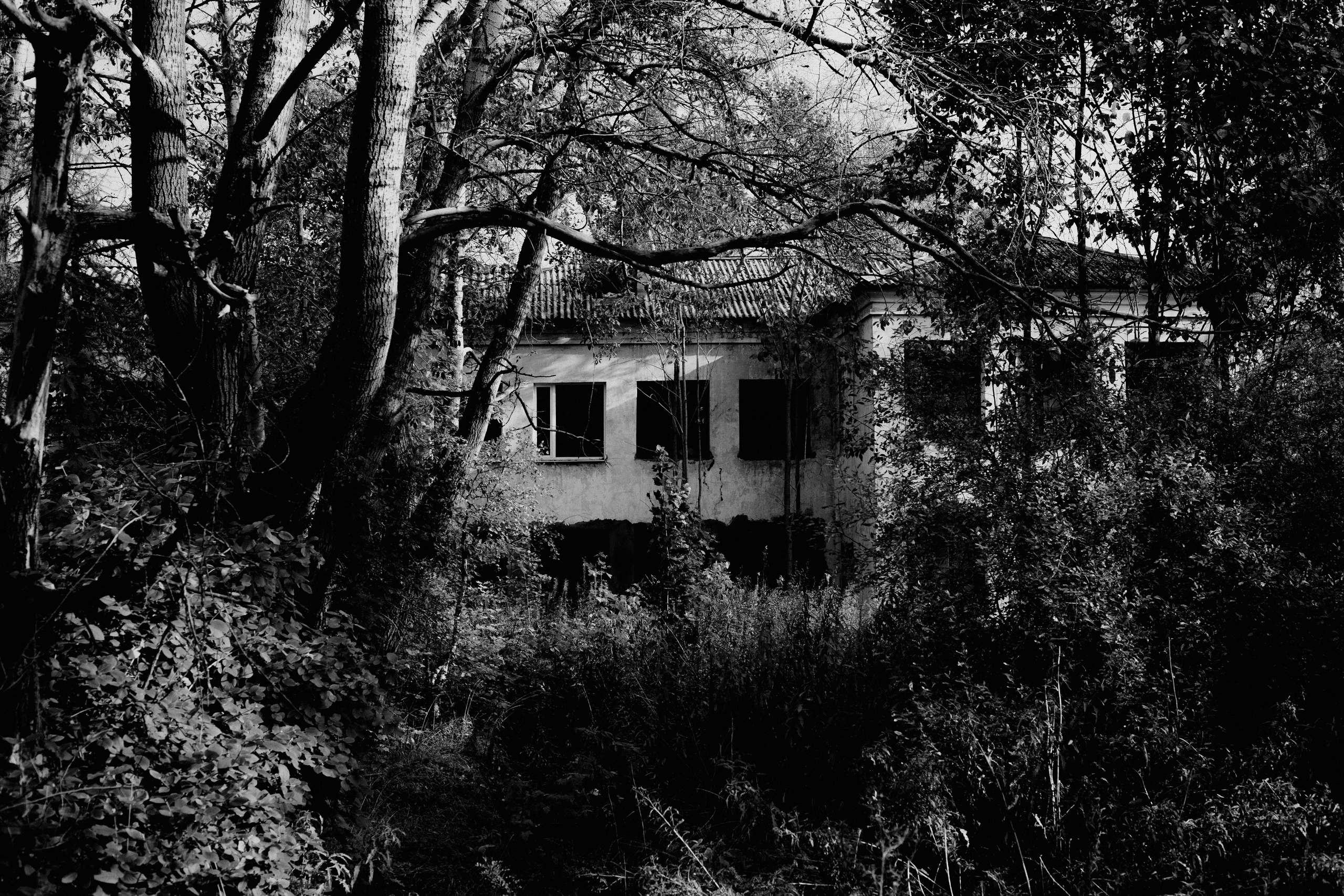 № 32. WAYHAY — Портретный фотограф в Санкт-Петербурге