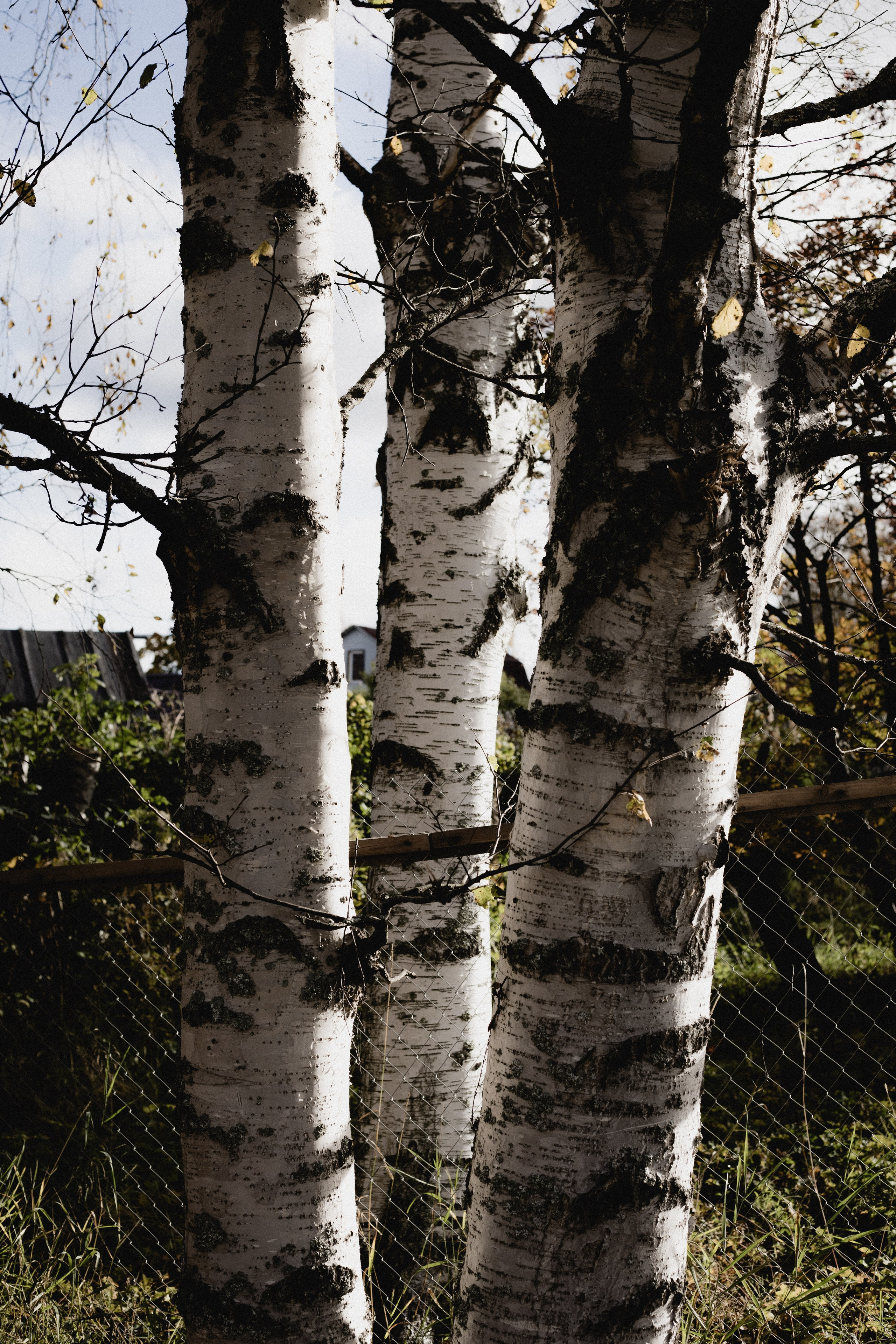 № 35. WAYHAY — Портретный фотограф в Санкт-Петербурге