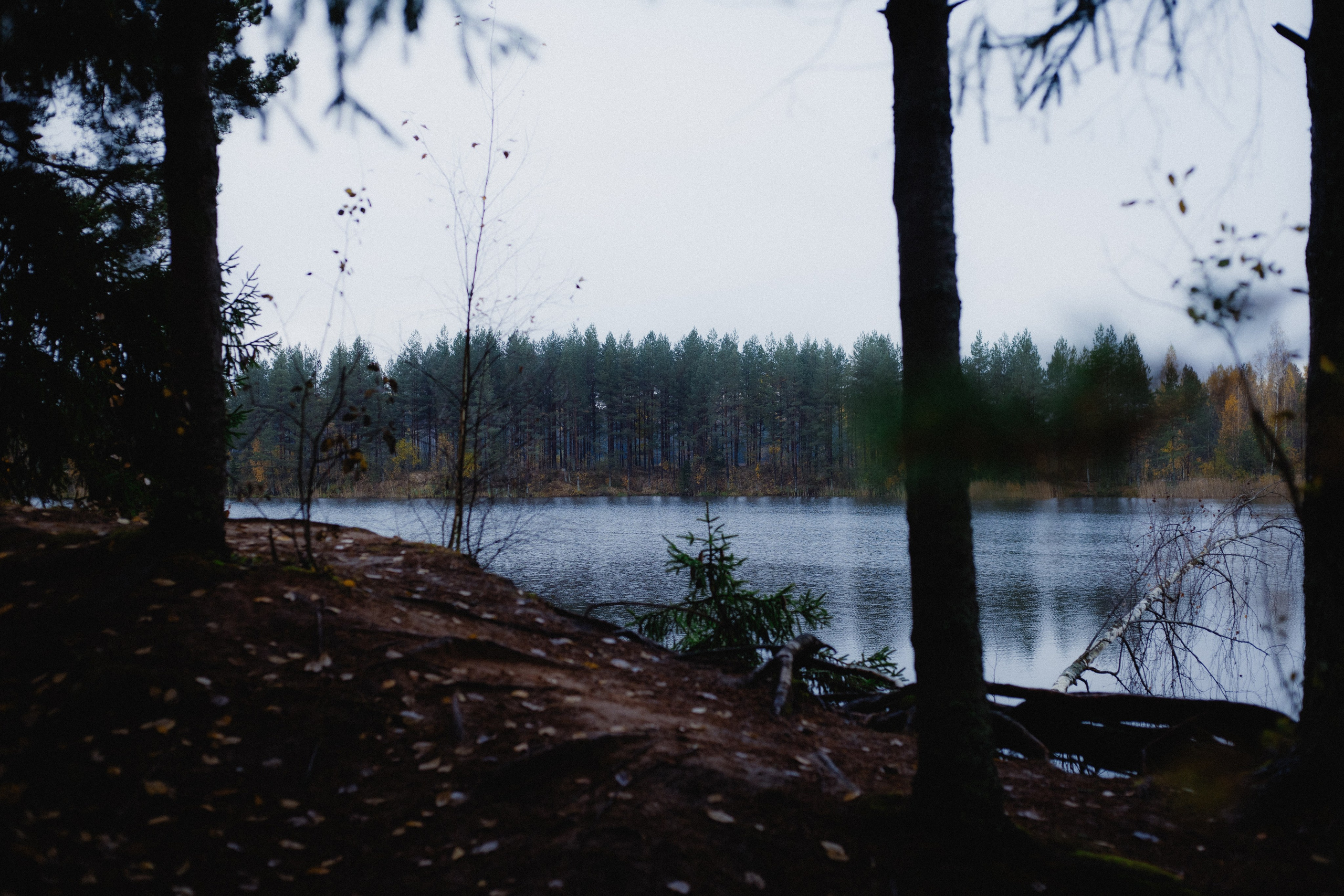 № 45. WAYHAY — Портретный фотограф в Санкт-Петербурге