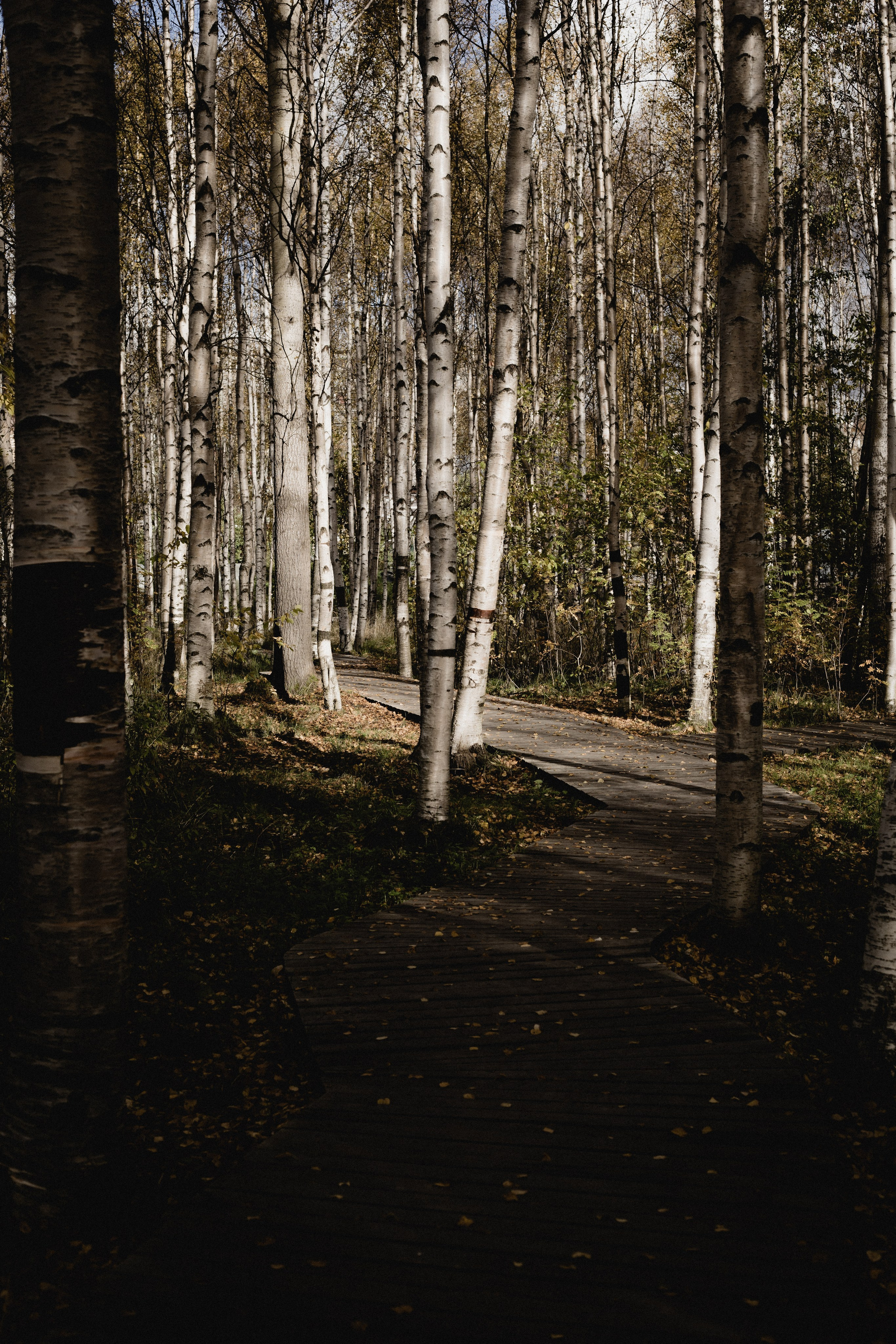 № 35. WAYHAY — Портретный фотограф в Санкт-Петербурге