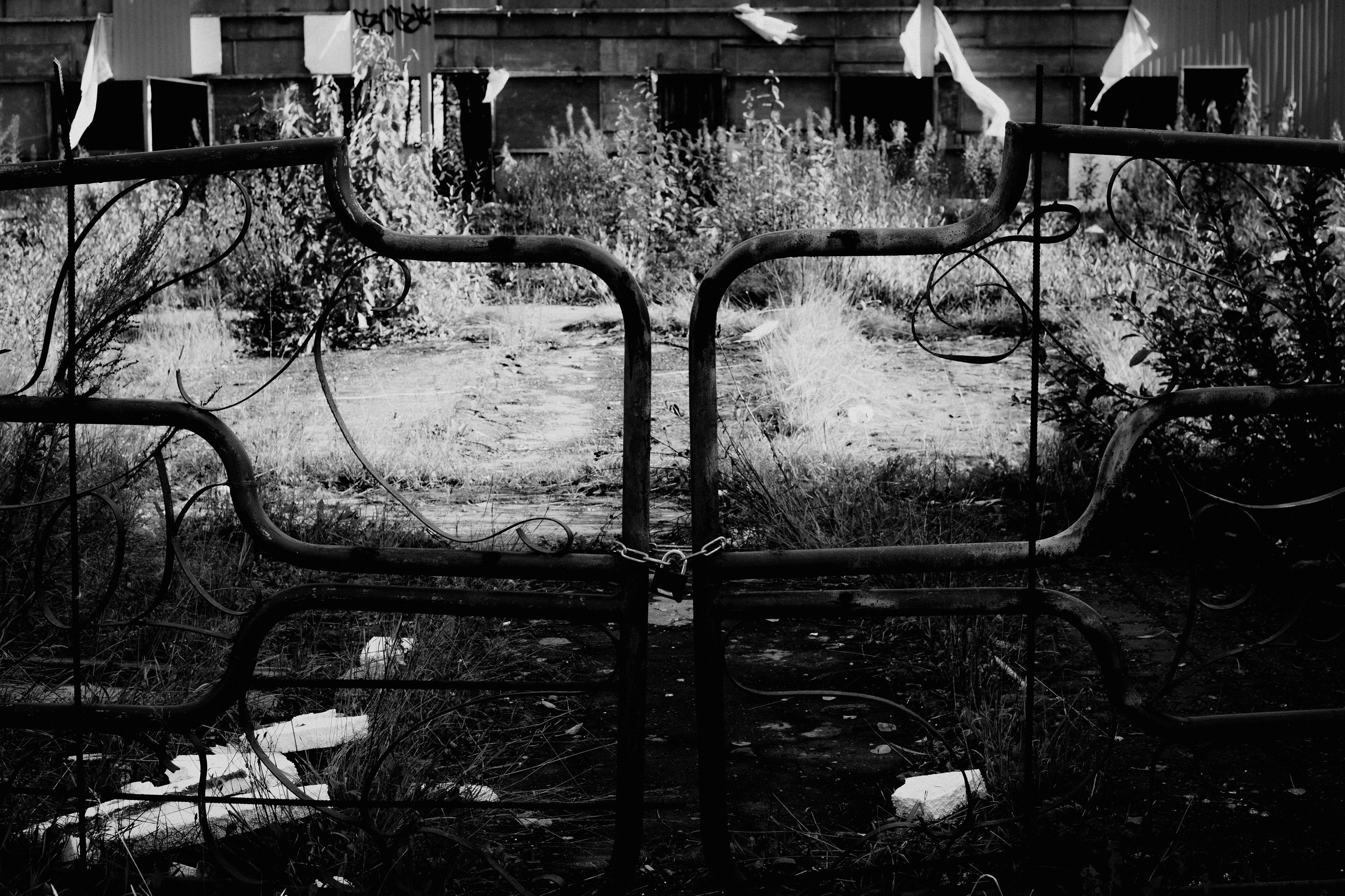 № 33. WAYHAY — Портретный фотограф в Санкт-Петербурге