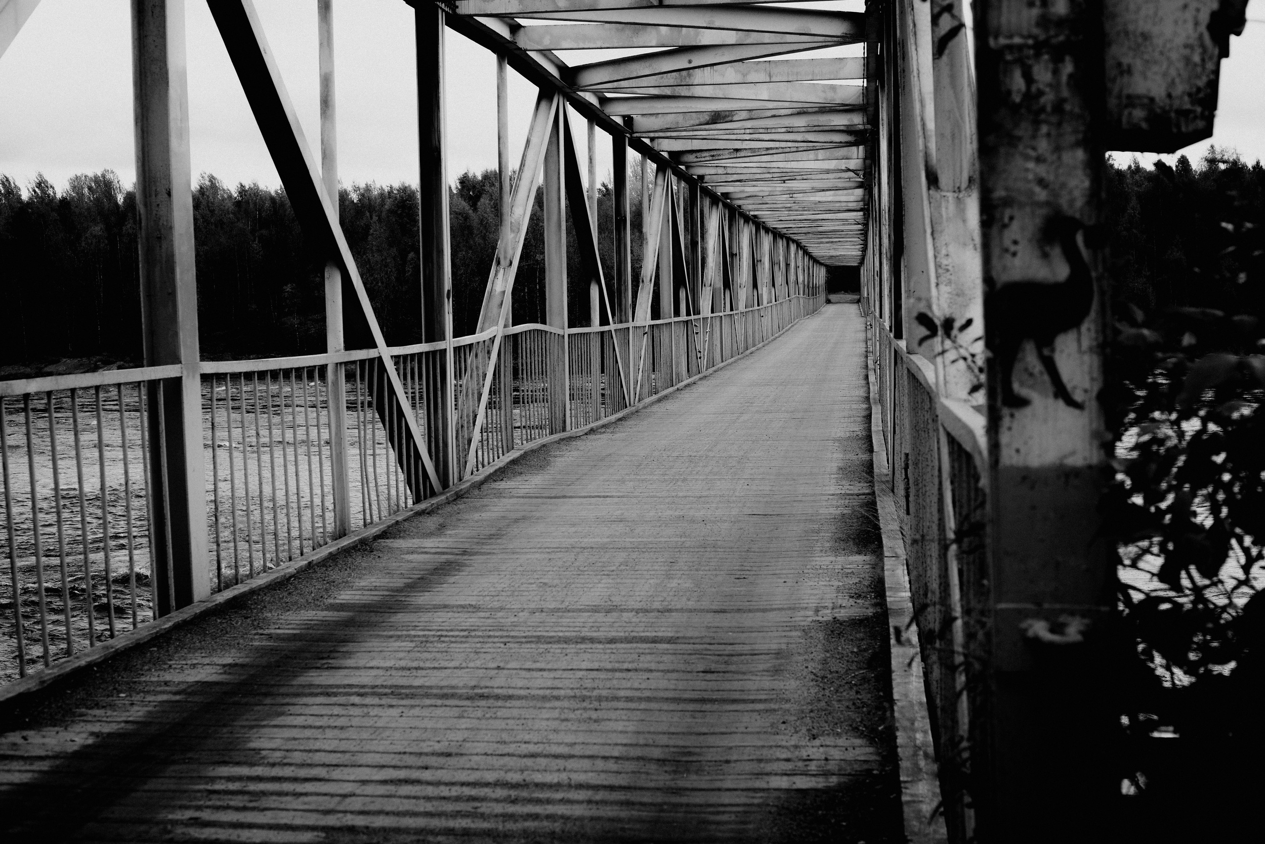 № 31. WAYHAY — Портретный фотограф в Санкт-Петербурге