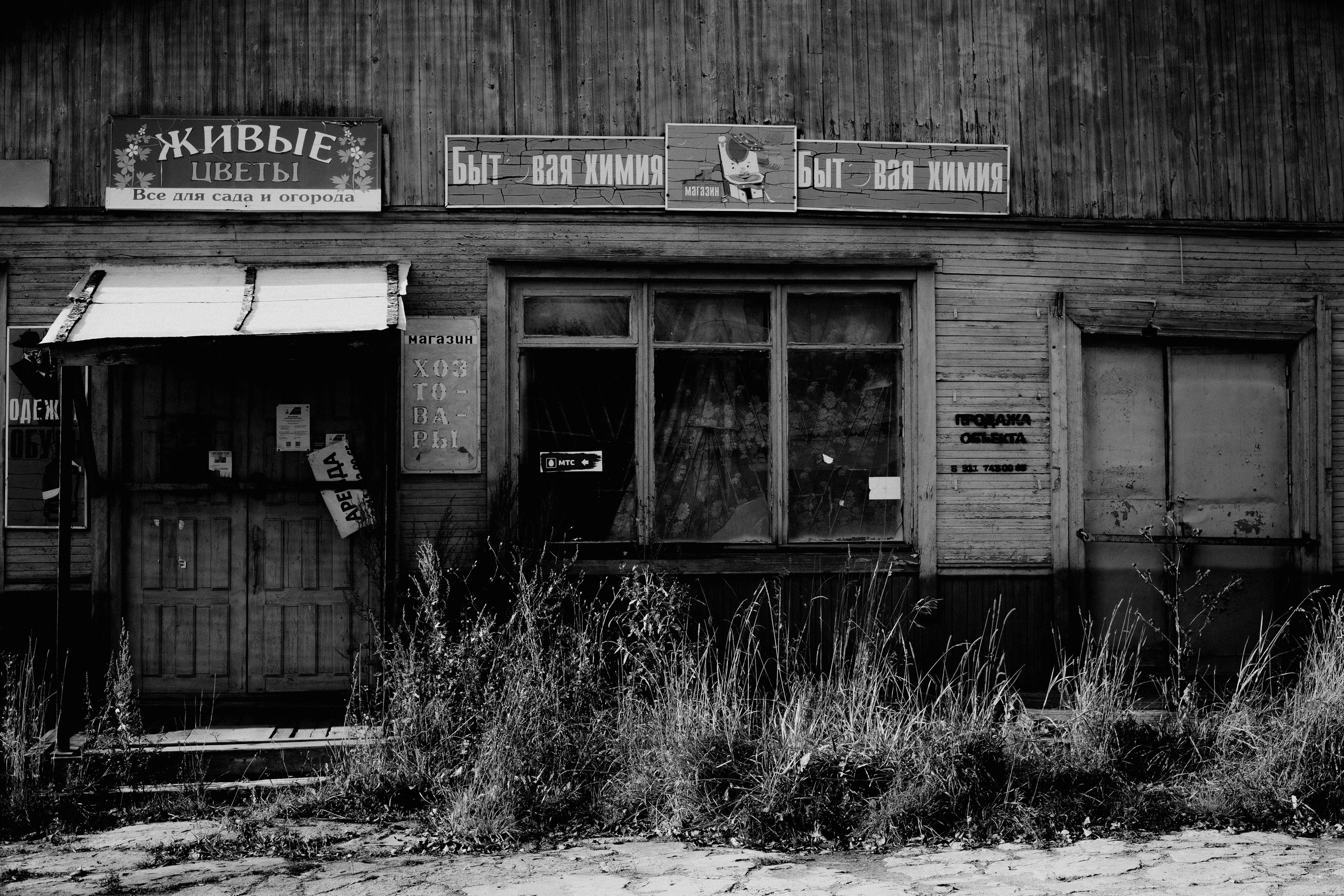 № 33. WAYHAY — Портретный фотограф в Санкт-Петербурге