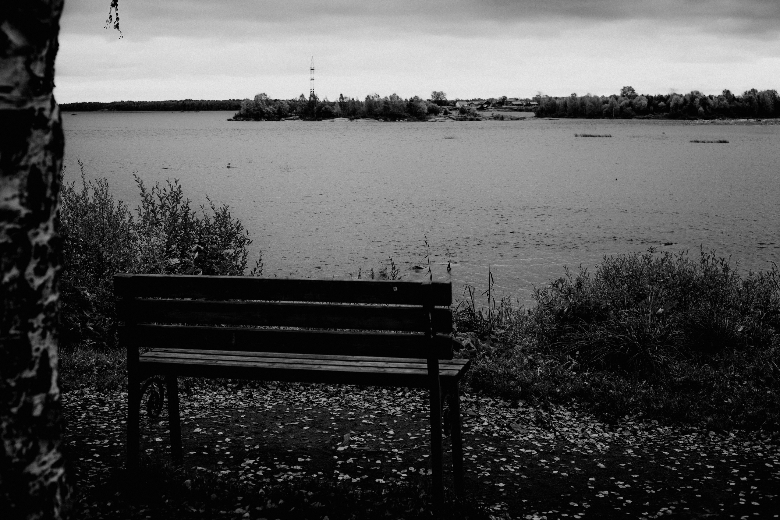 № 31. WAYHAY — Портретный фотограф в Санкт-Петербурге