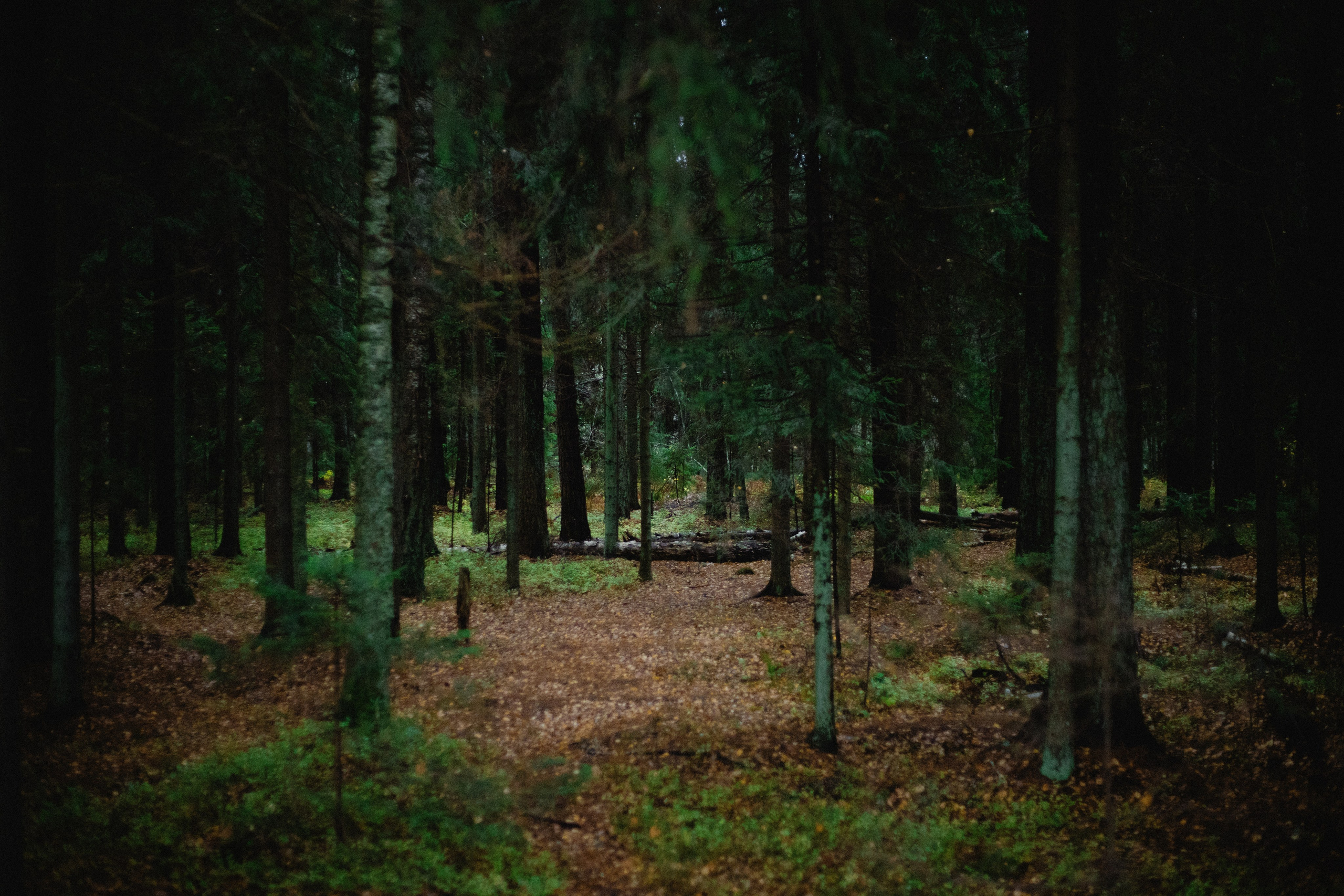 № 45. WAYHAY — Портретный фотограф в Санкт-Петербурге
