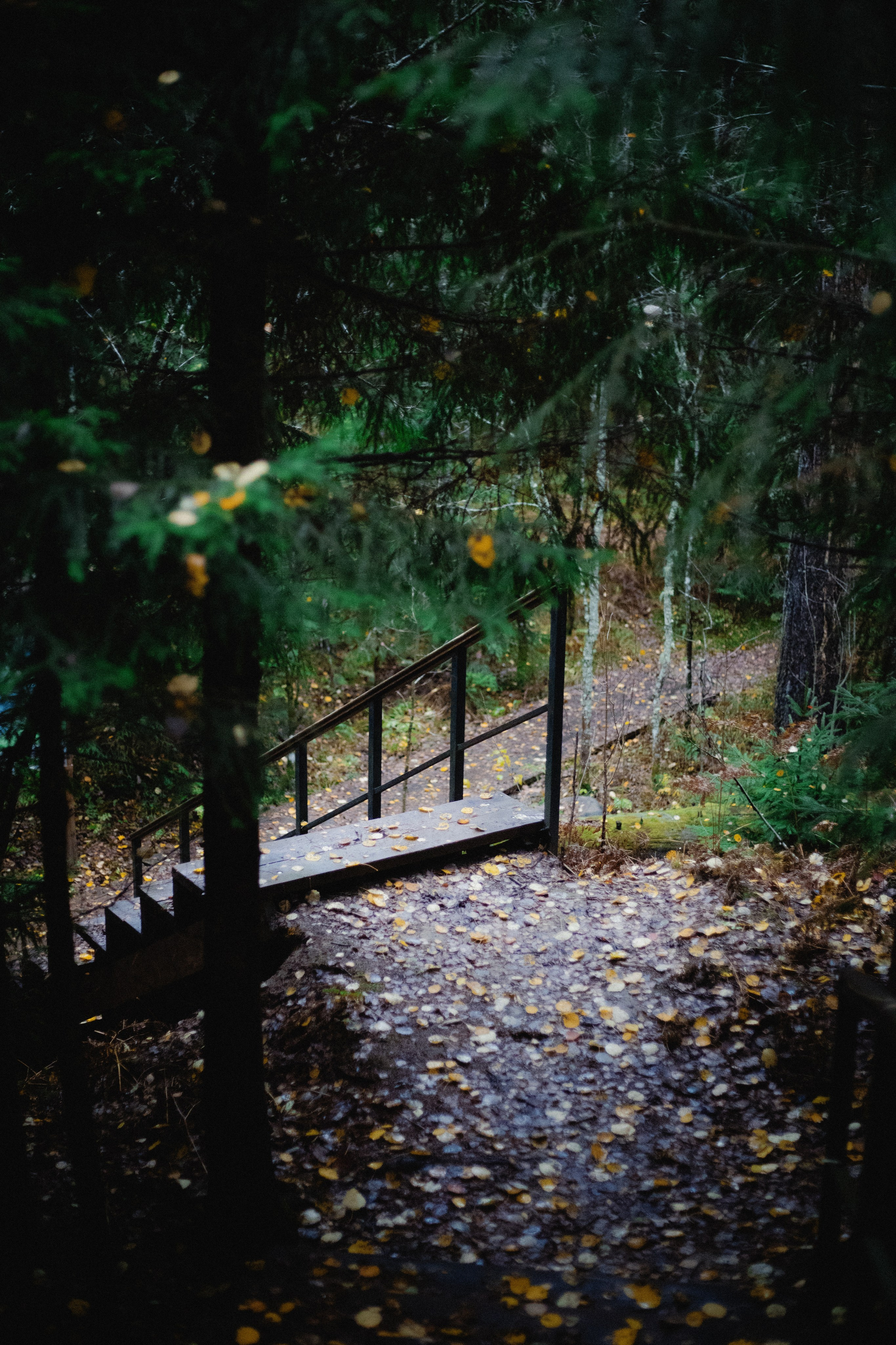 № 45. WAYHAY — Портретный фотограф в Санкт-Петербурге