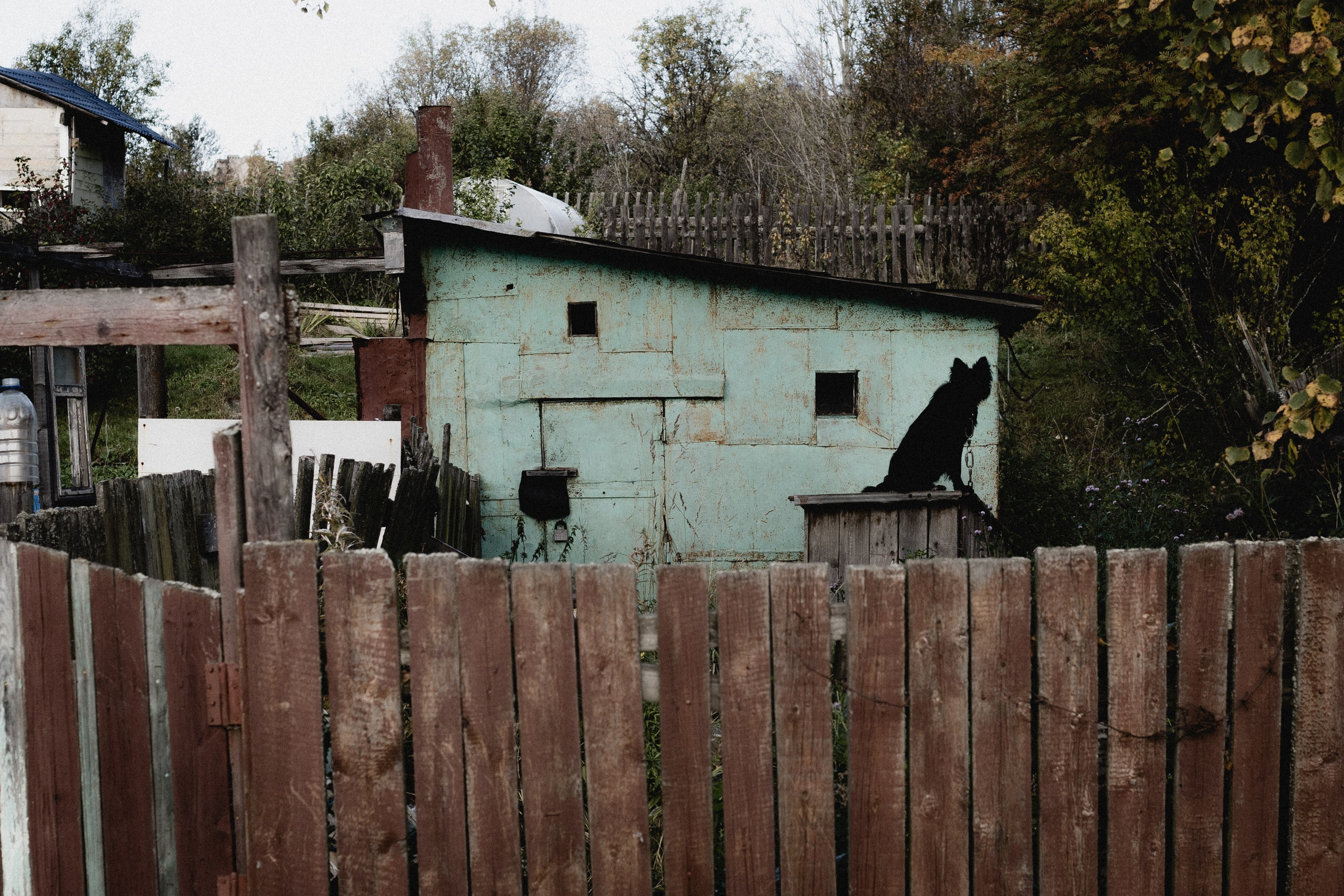 № 36. WAYHAY — Портретный фотограф в Санкт-Петербурге