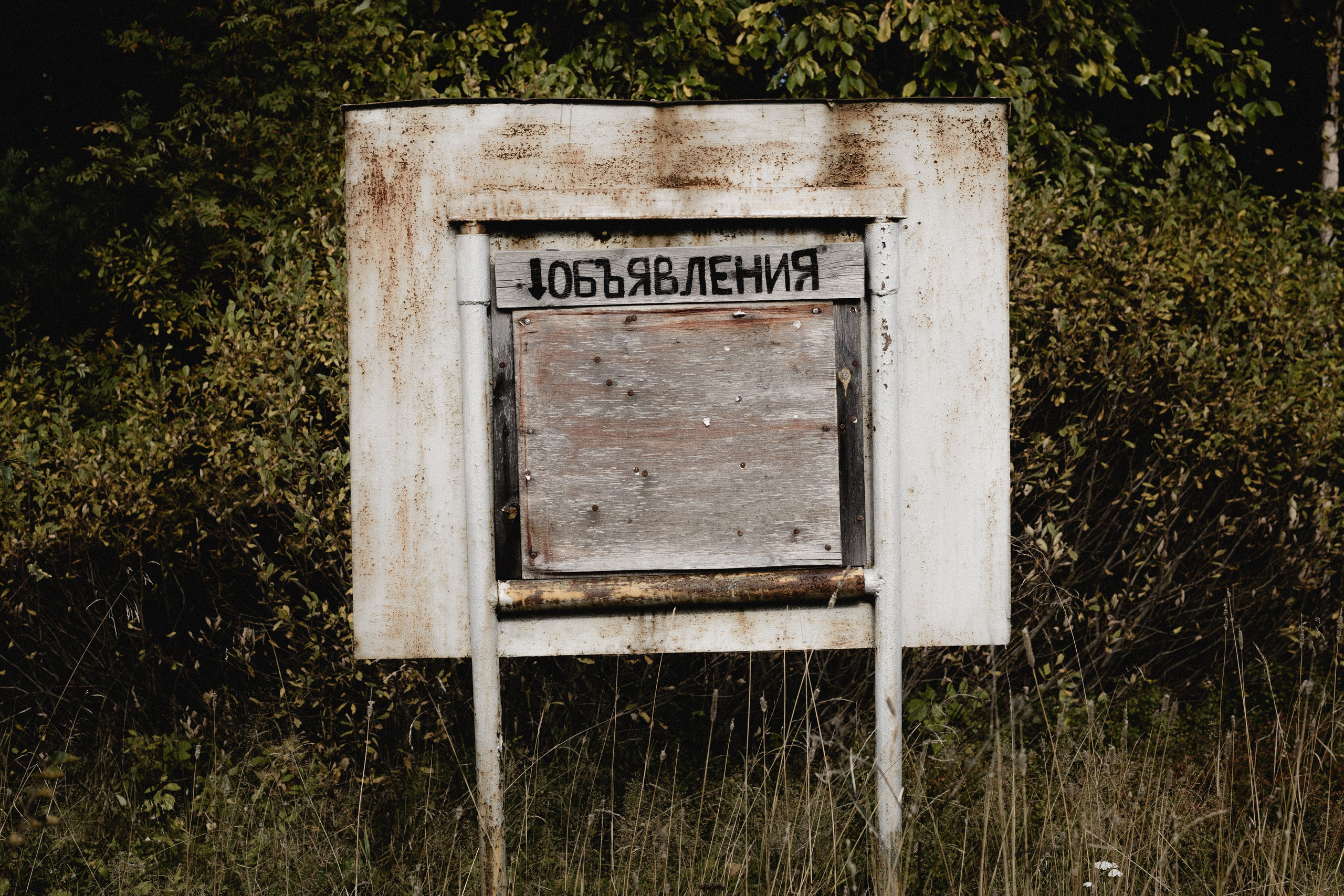 № 35. WAYHAY — Портретный фотограф в Санкт-Петербурге