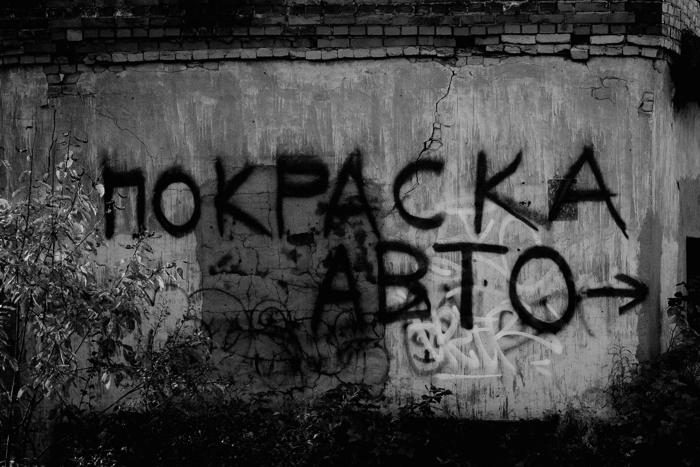№ 33. WAYHAY — Портретный фотограф в Санкт-Петербурге