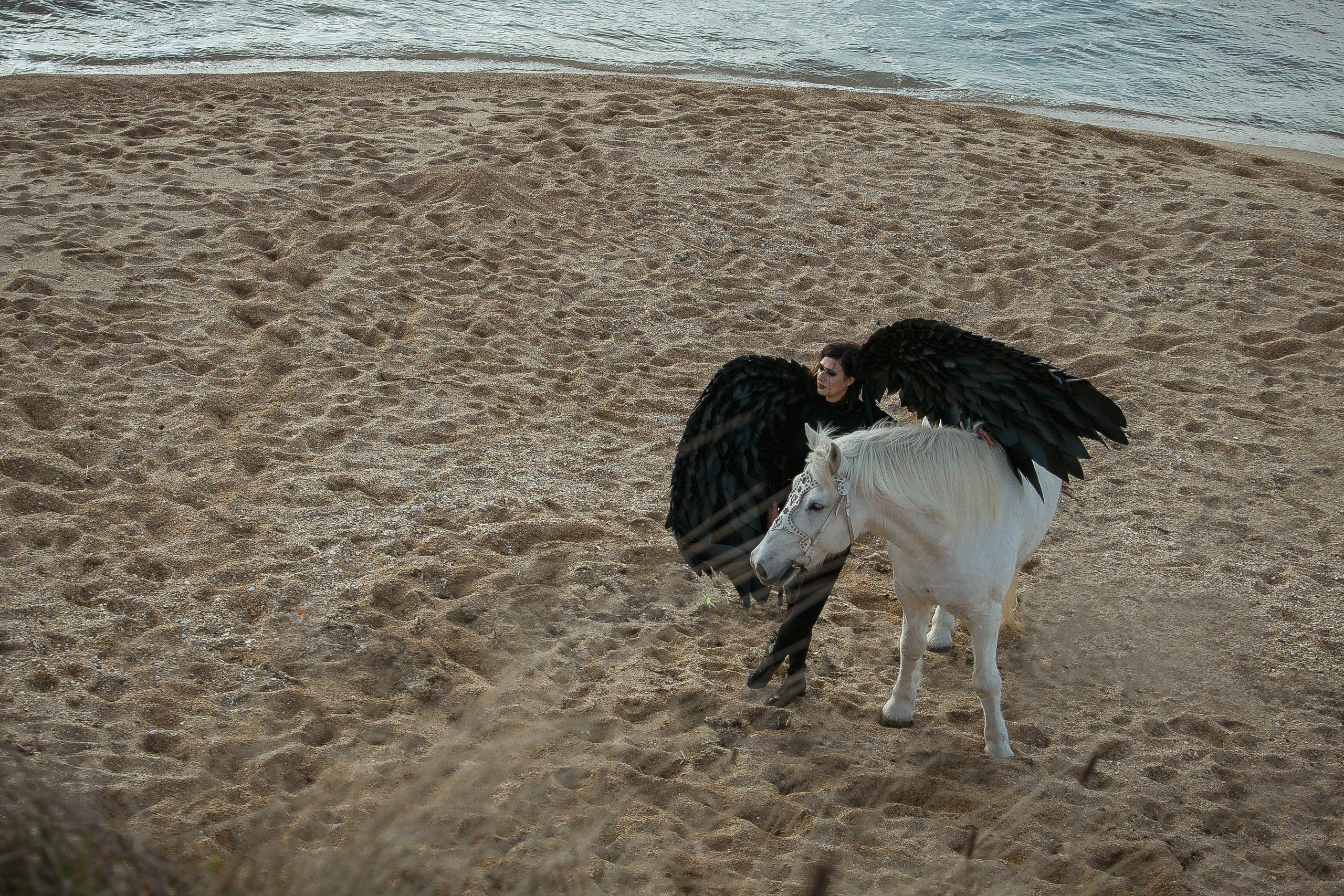 Съёмки с лошадьми. Фотограф в Севастополе