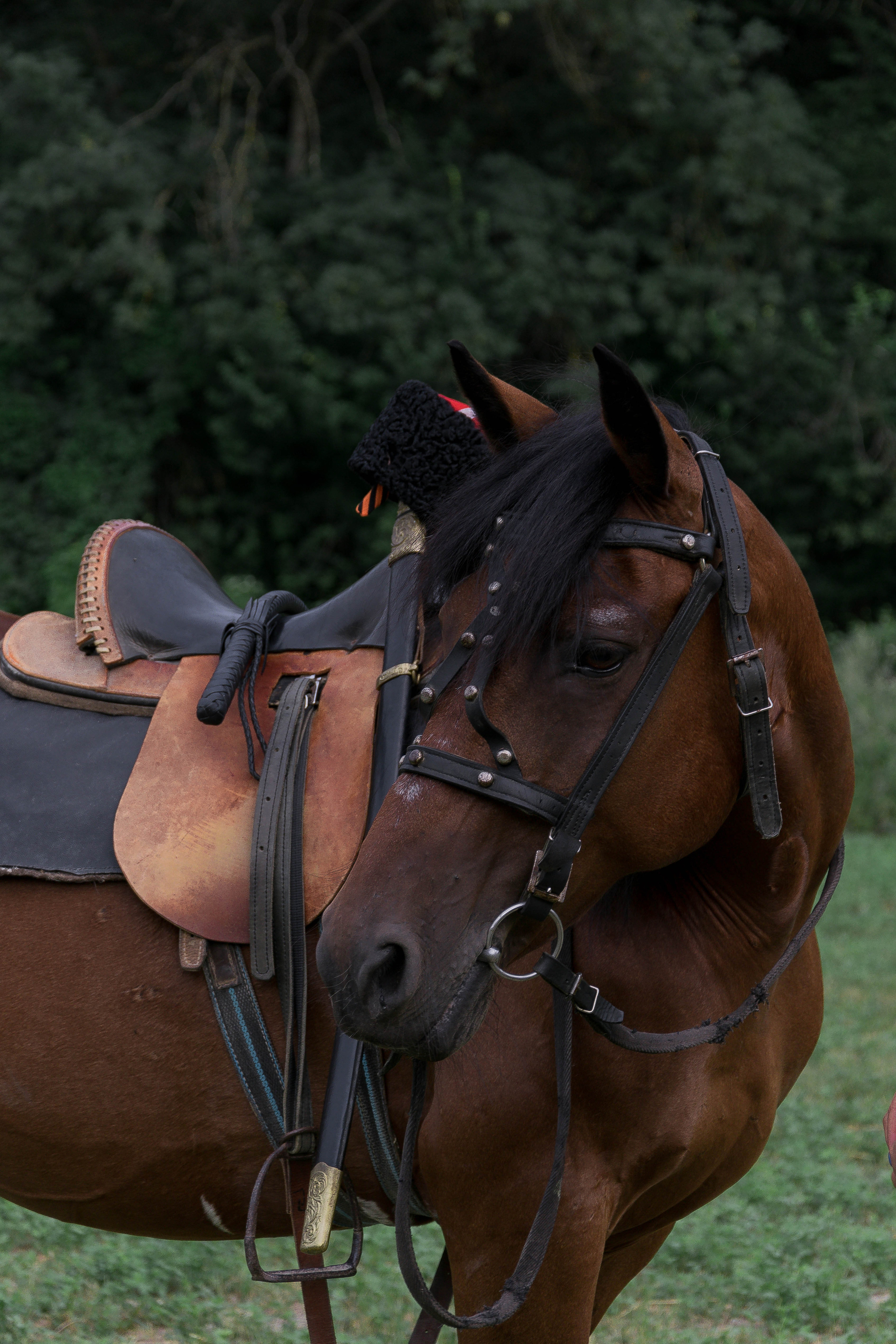 Никита и Зорька. Фотограф в Севастополе