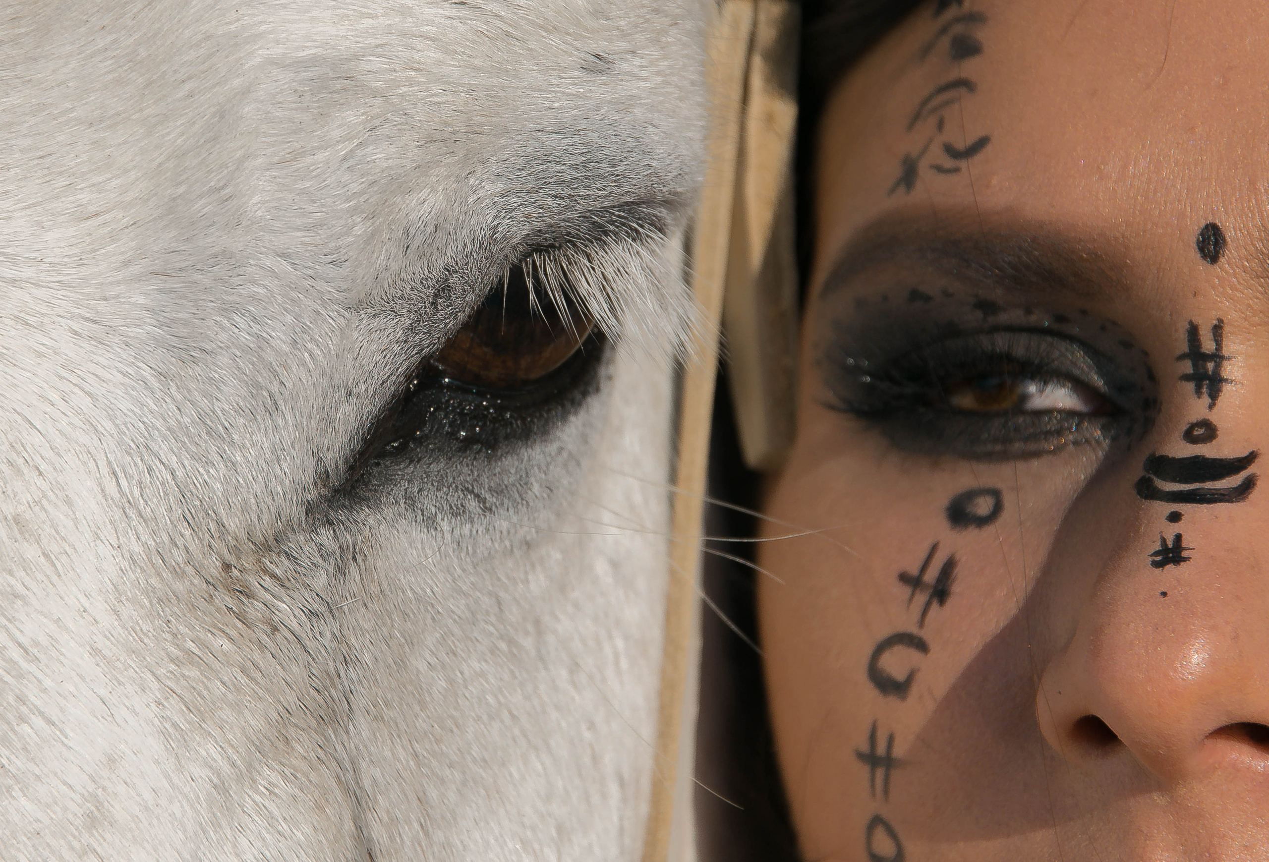 Съёмки с лошадьми. Фотограф в Севастополе