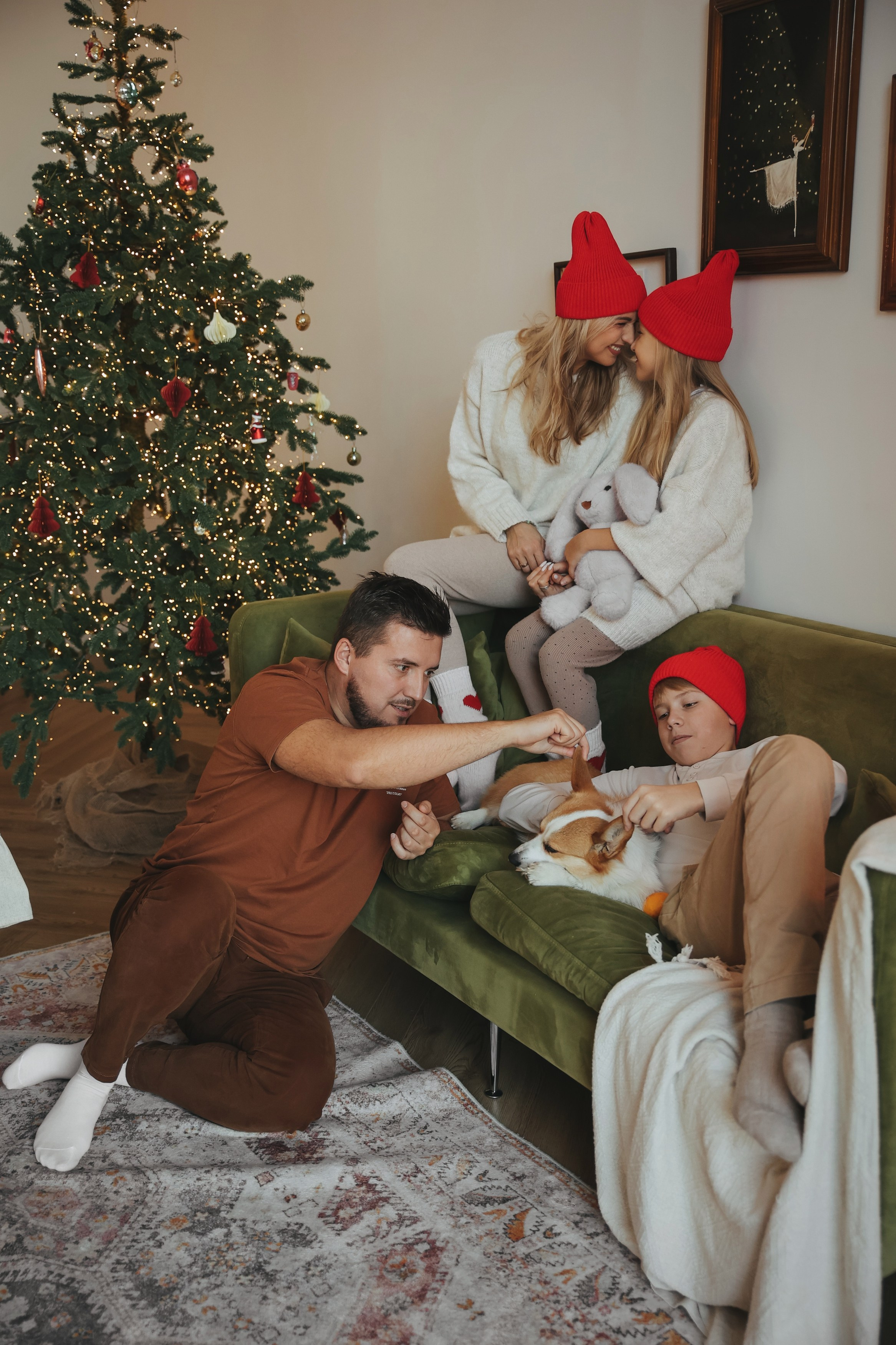 Новогодняя фотосессия во Владимире съемка на новый год фотосессия в студии фотограф во Владимире фотограф в Москве корги. Фотограф Владимир Москва