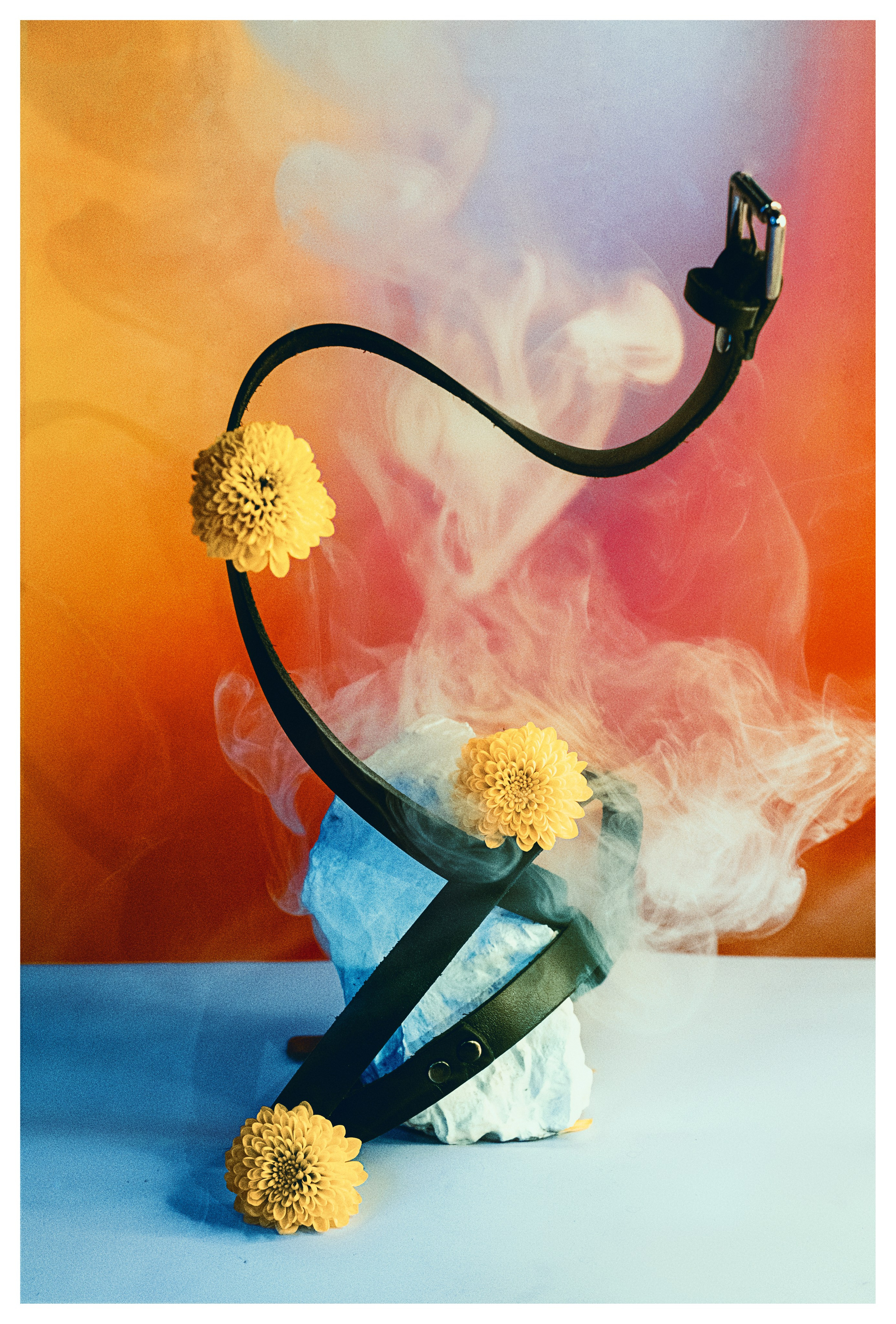 Black horse. Фотограф Алина Малина