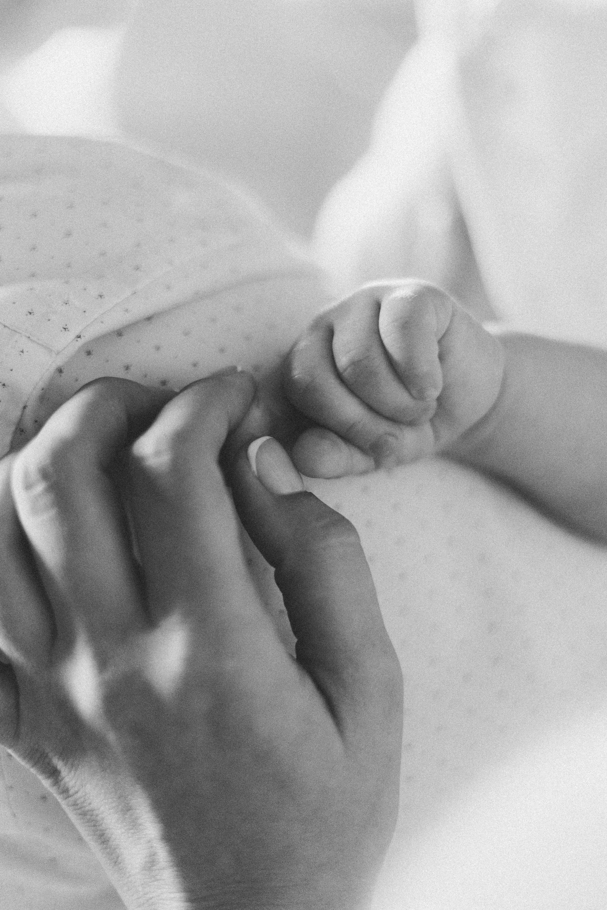 13.10.2024. Фотограф Торопец Кристина Абрамова Kanwellia photography