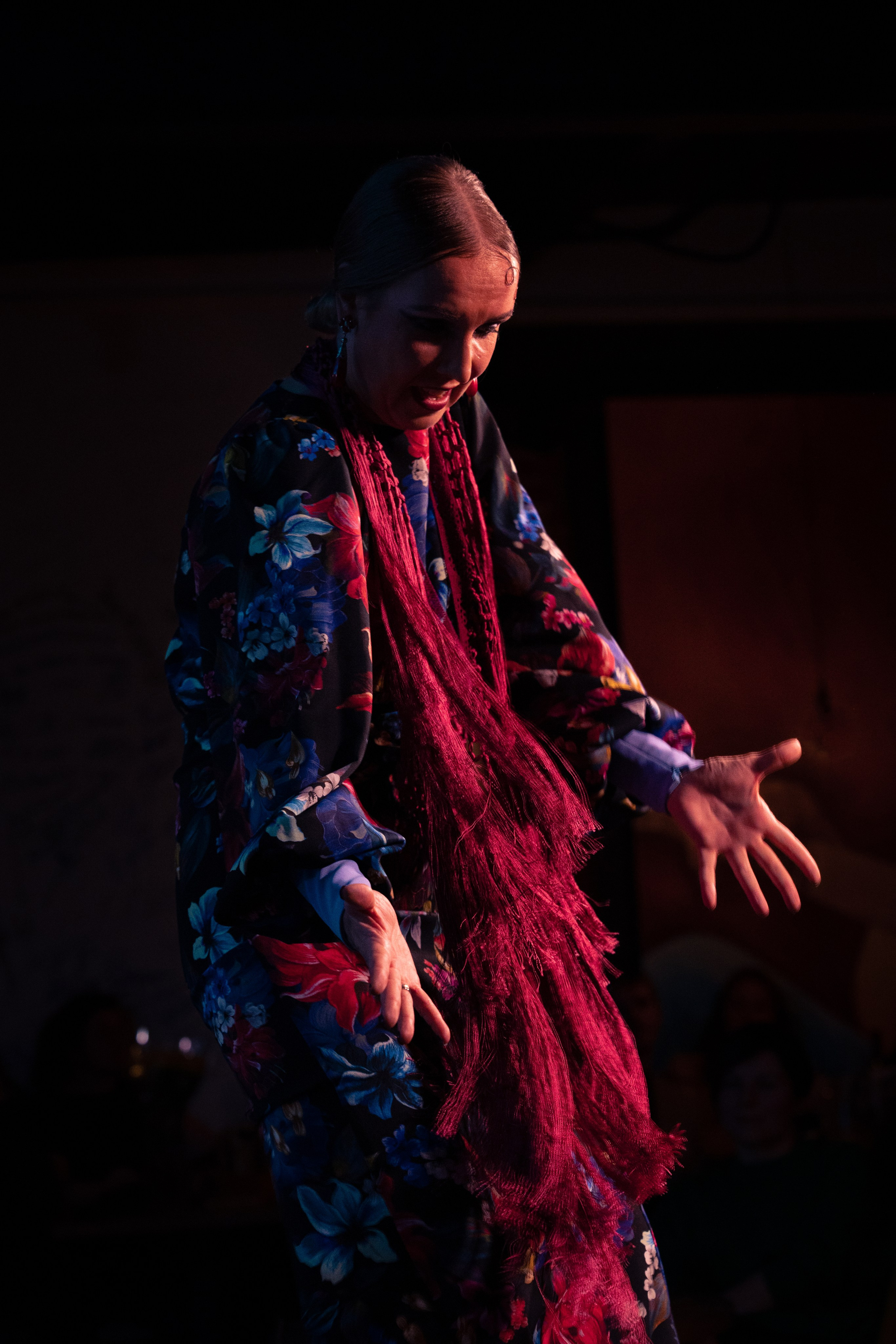 Flamenco 02.01.2025. Индивидуальные съемки, портретный фотограф