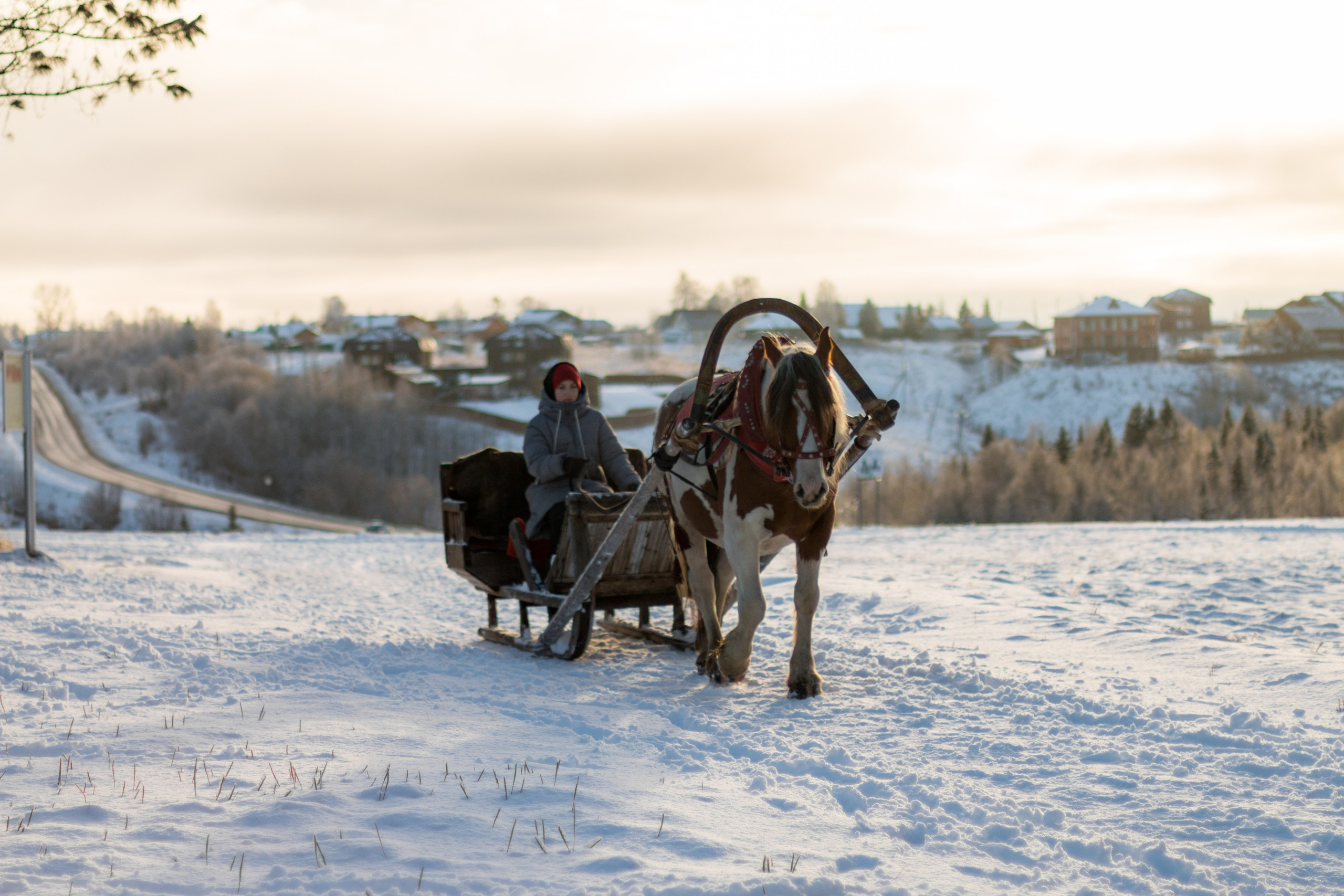 Русский Север, Малые карелы. Фотограф в Сочи