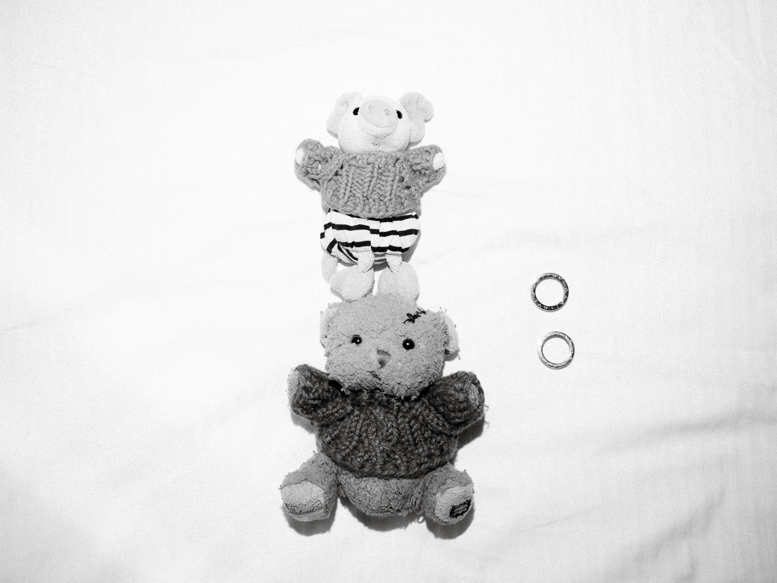 У НАС ЕСТЬ ПИТОМЦЫ :). Свадебный фотограф Москва Ирина Писарева