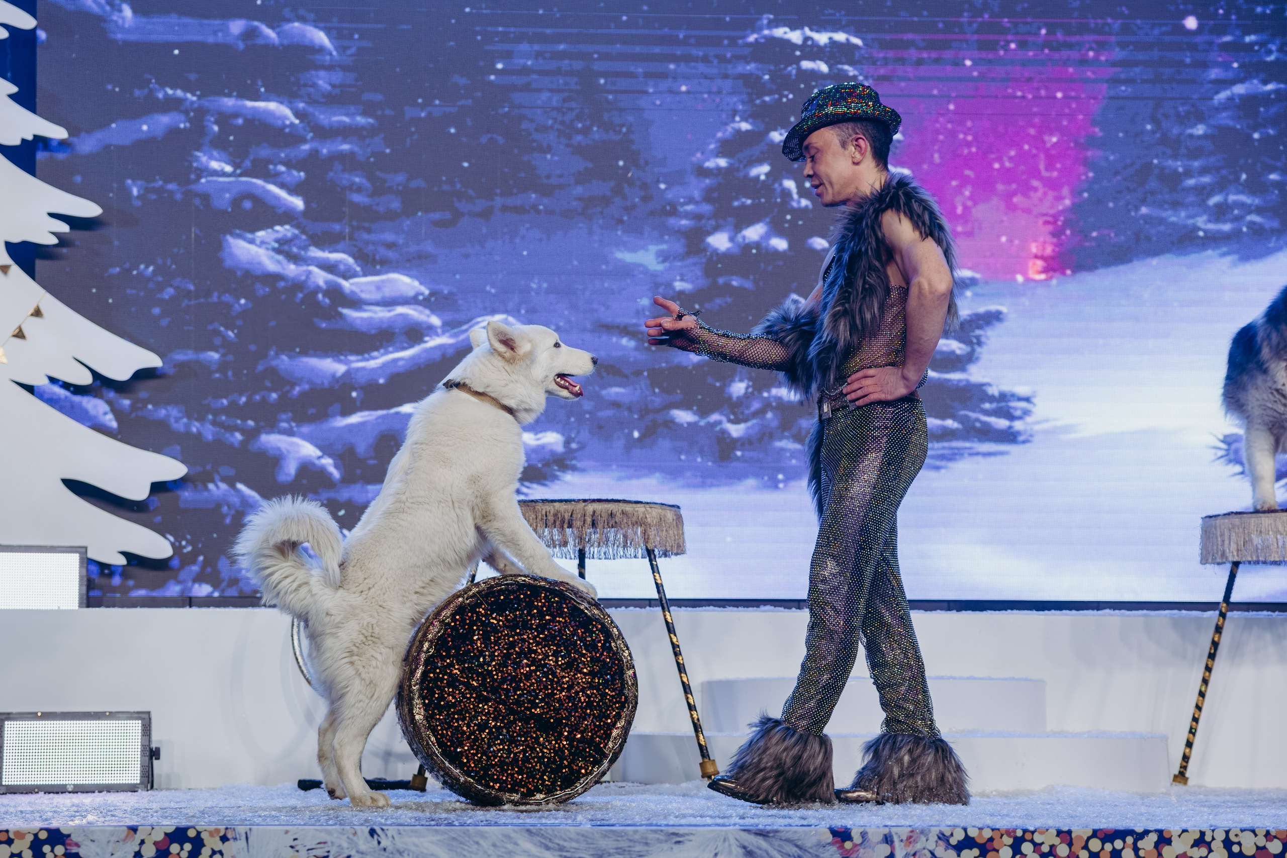 ГОРДО Девелопмент — Строительная Компания. Свадебный фотограф в Иркутске Бобылев Никита
