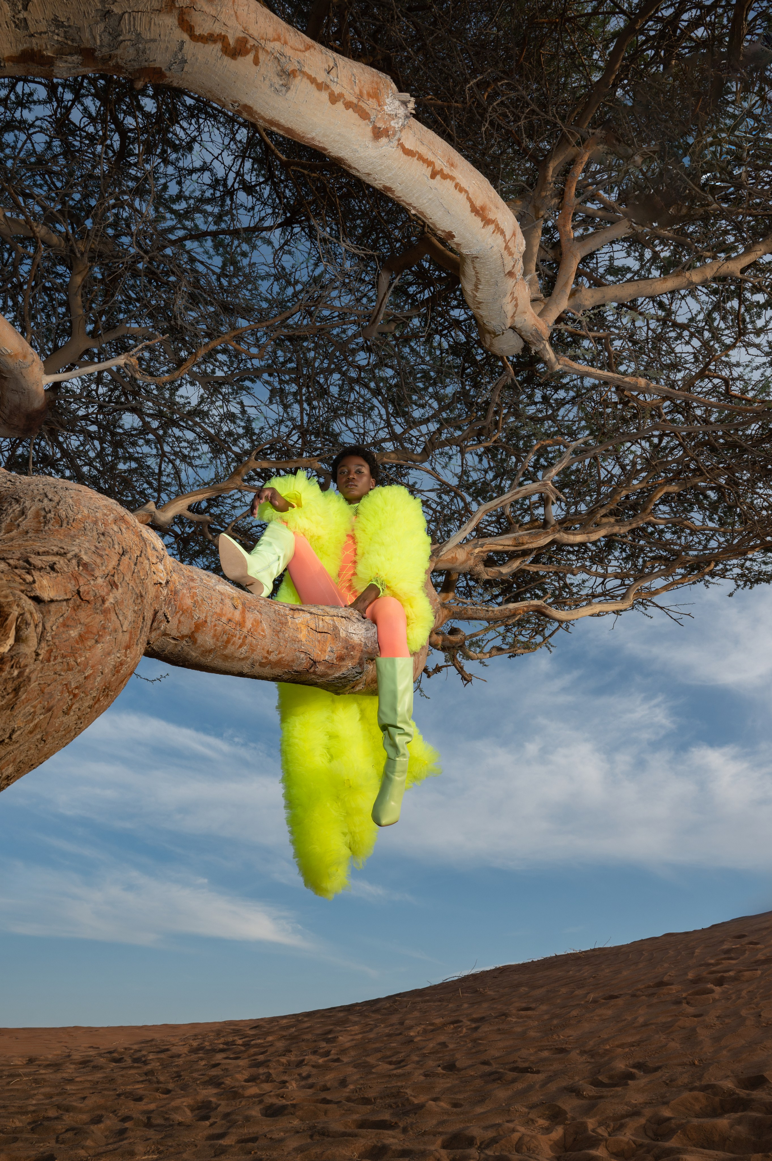Fairy bird. Коммерческий фотограф Москва /Дубай, эксклюзивные фэшн фотосессии