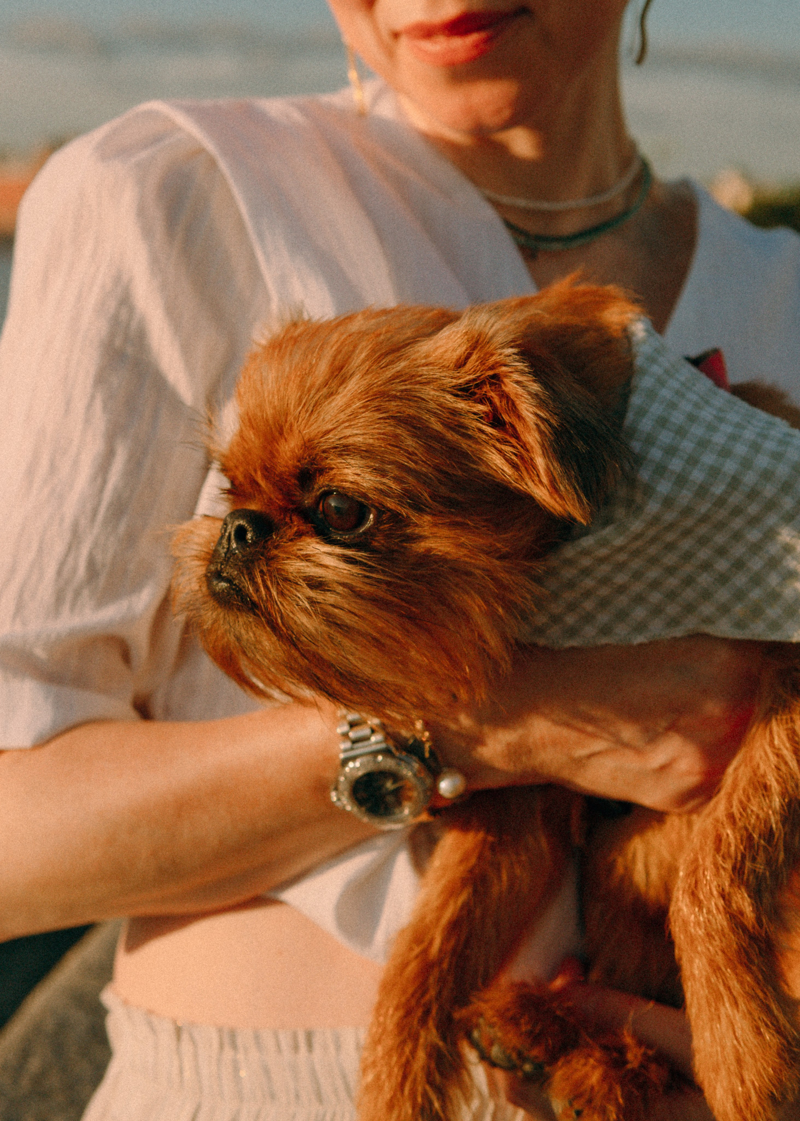 Лена и Альфи. Фотограф-анималист Ксения Воробьева, Москва