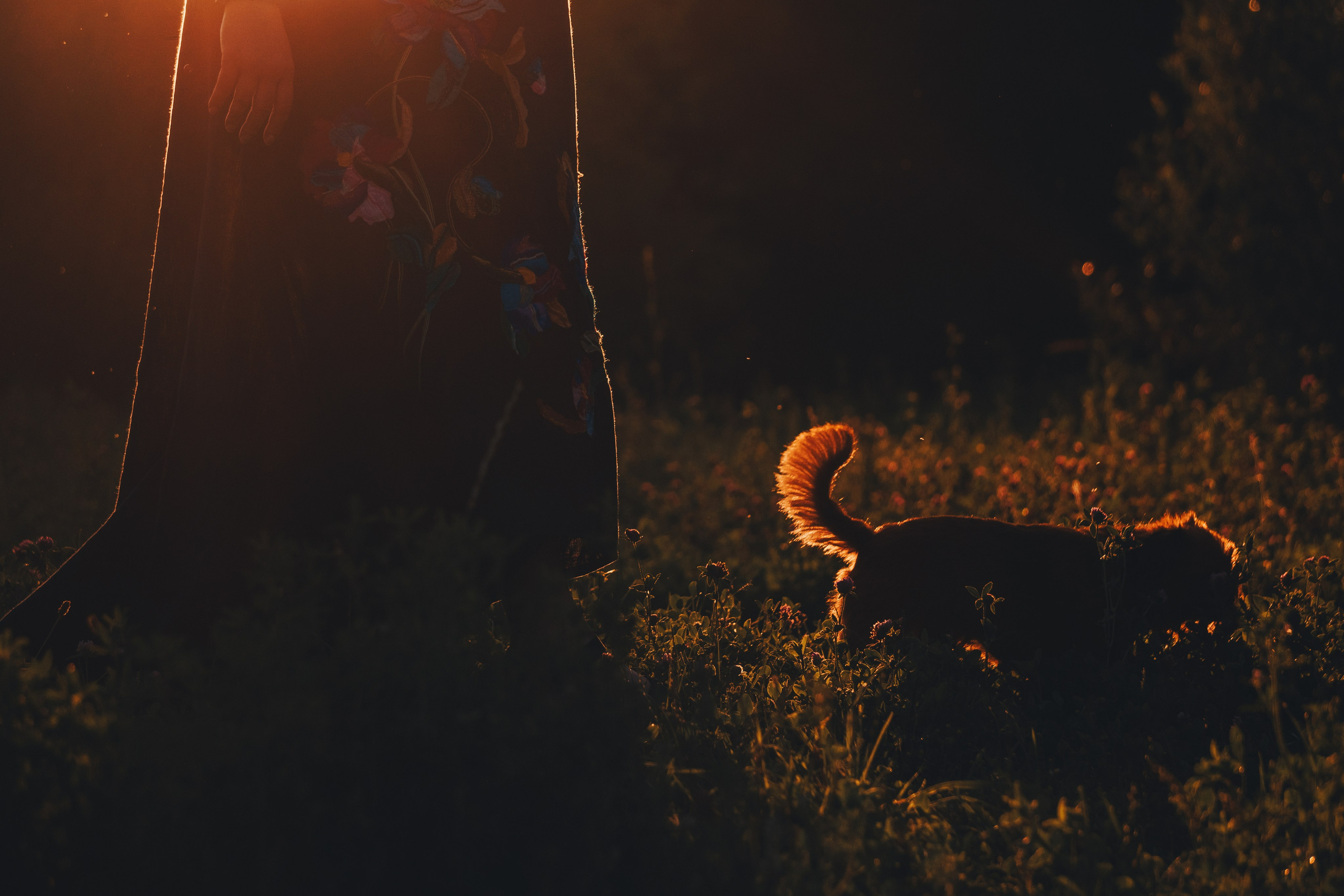 Катя и Яшма. Фотограф-анималист Ксения Воробьева, Москва