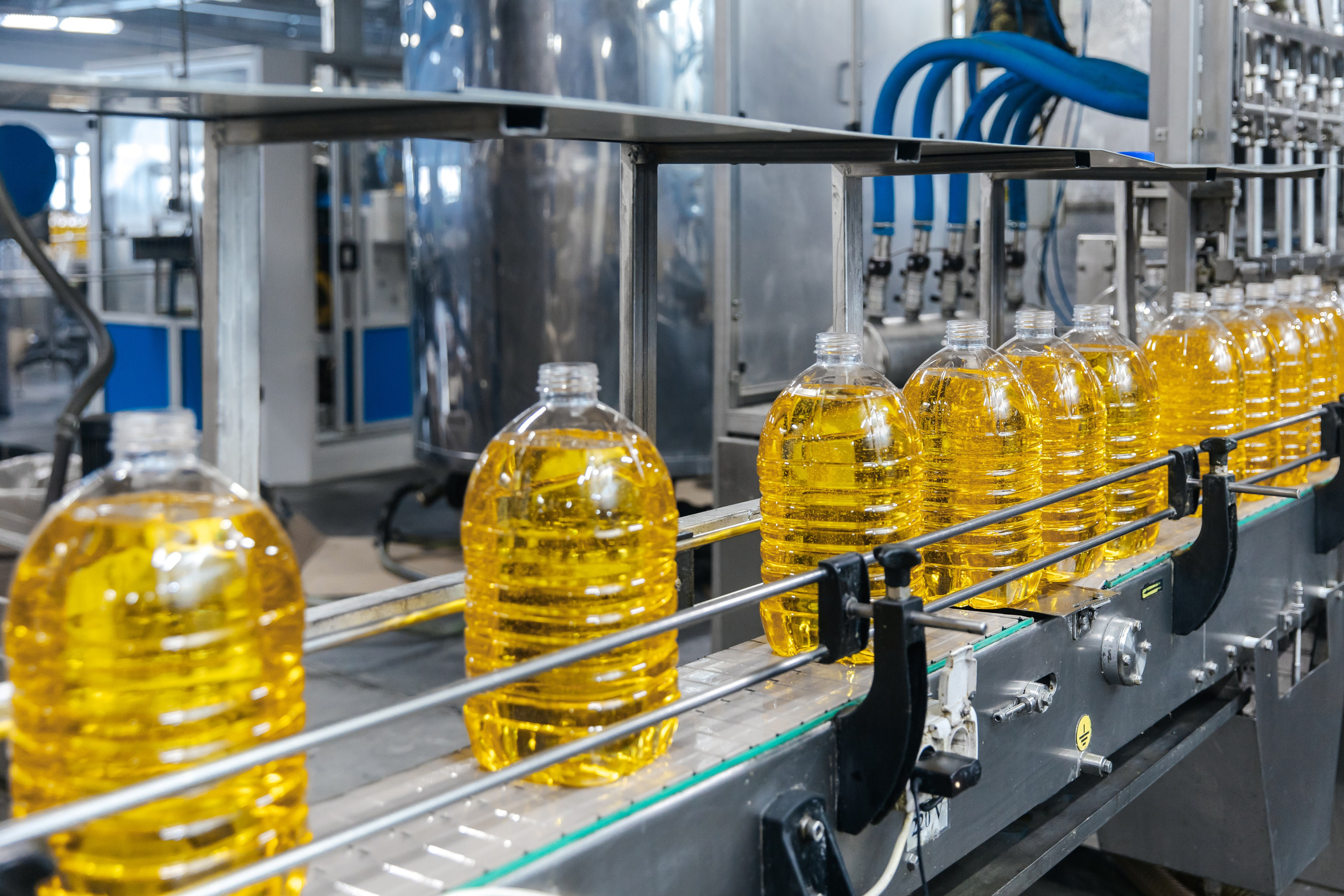 Диво Алтая. Производитель подсолнечного масла. Лихошерстов Андрей — фотограф для бизнеса из Сибири