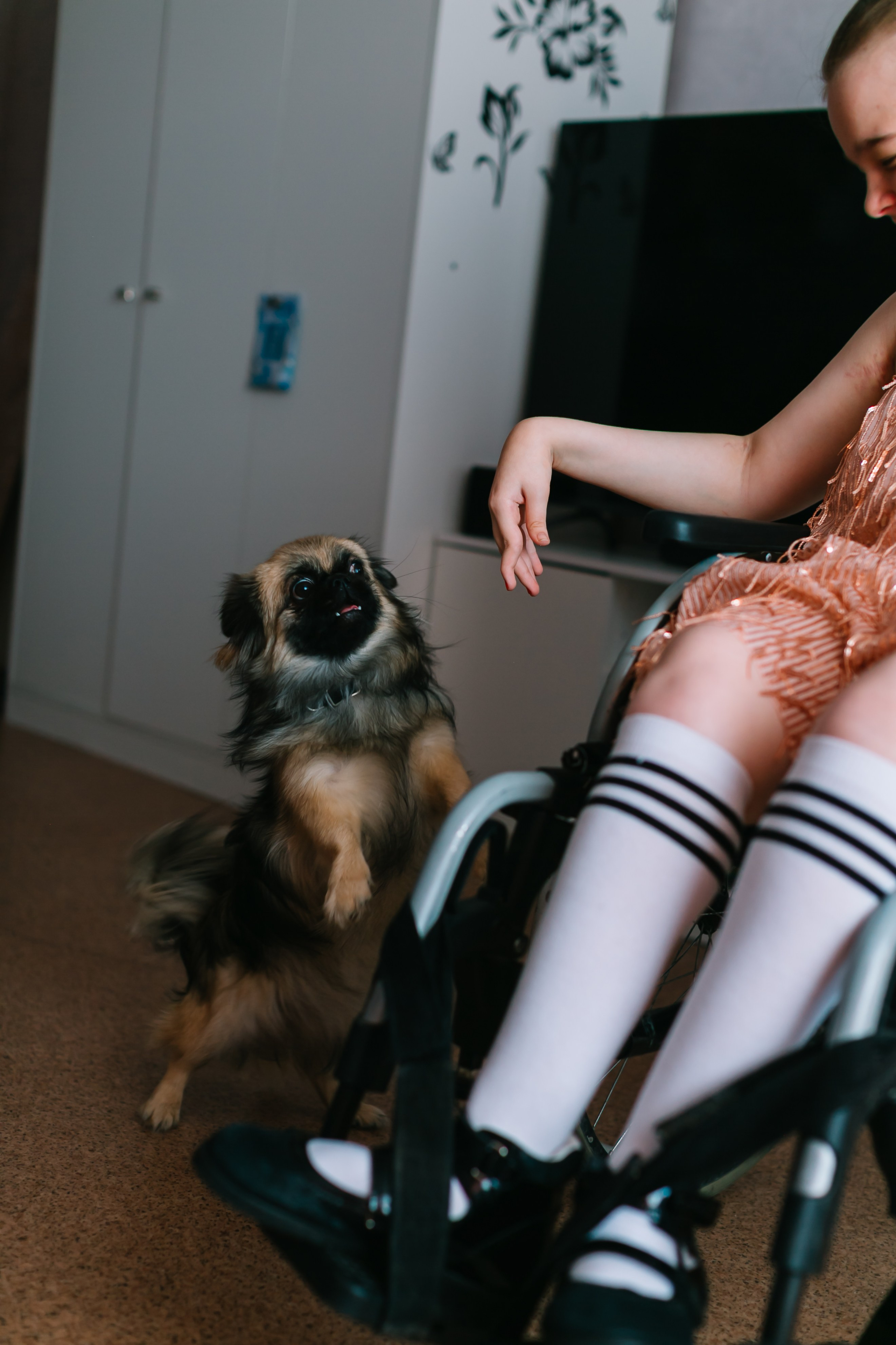 Мирослава и Наталья. Семейный и детский фотограф в Новосибирске Алёна Малахова