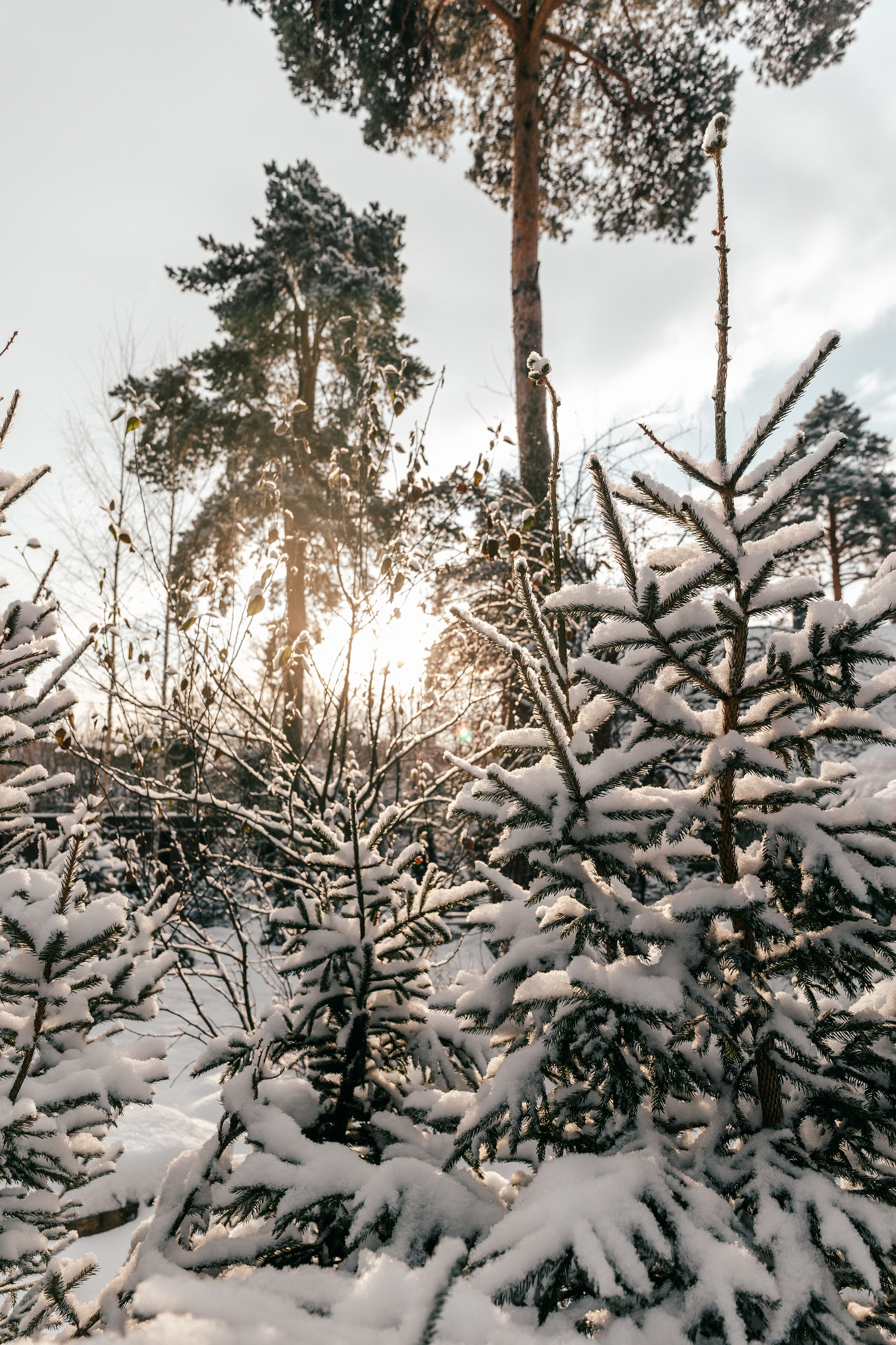 Саша и Полина. Фотограф Харитонова Наталья