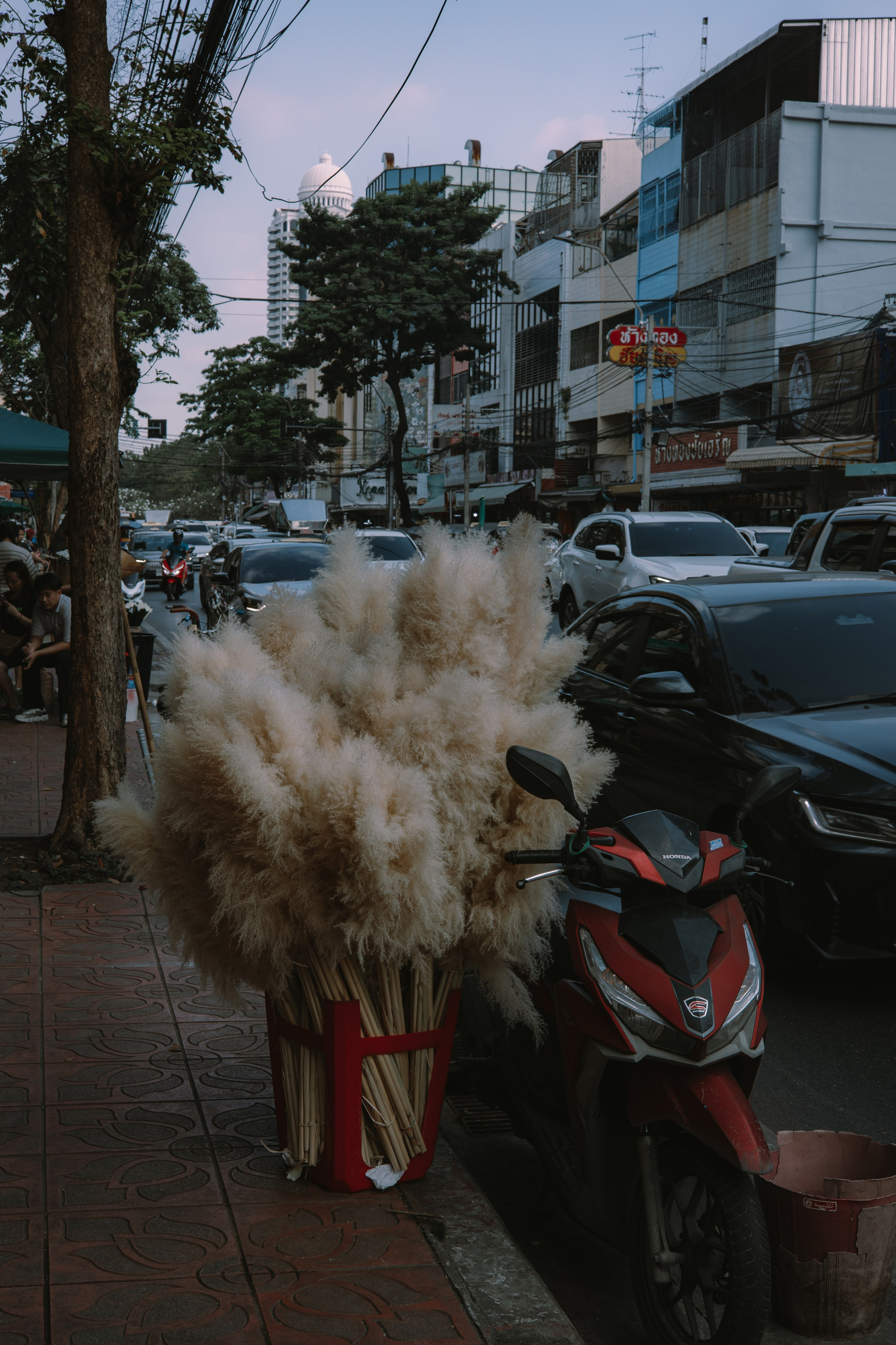 Bangkok. Портретный фотограф