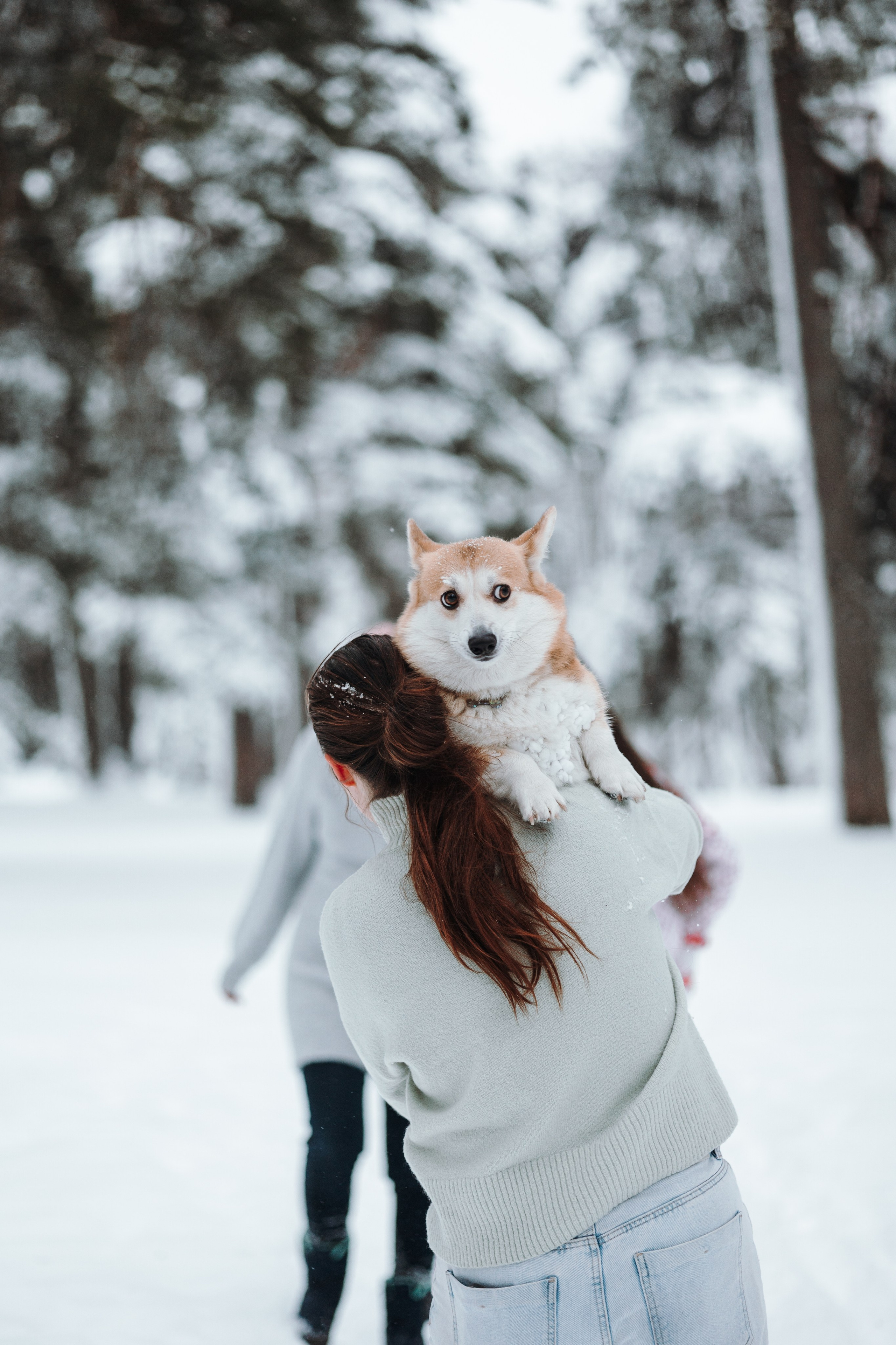 Оливка и ее семья. Фотограф — Анималист | Санкт-Петербург