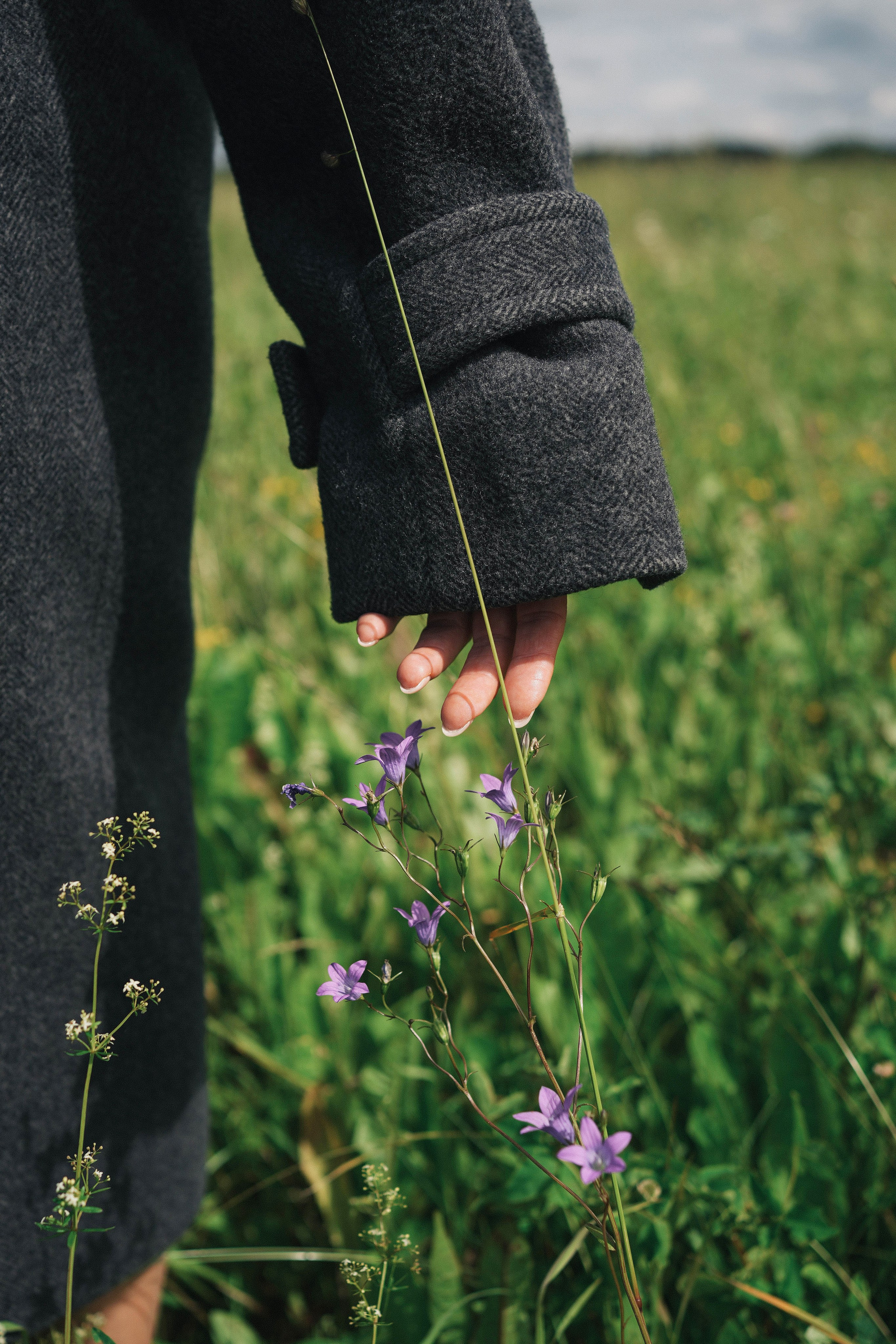 Дуб и клён. Ксения Копна. Фотограф из Санкт-Петербурга