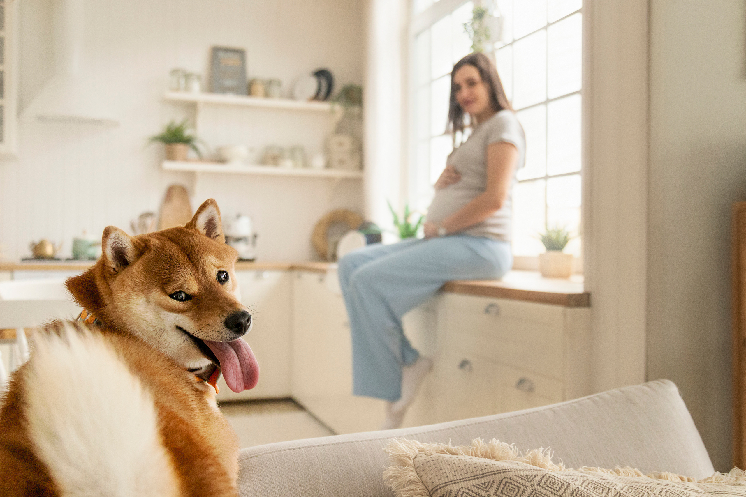 Валентина и Арчи. Фотограф — Анималист | Санкт-Петербург