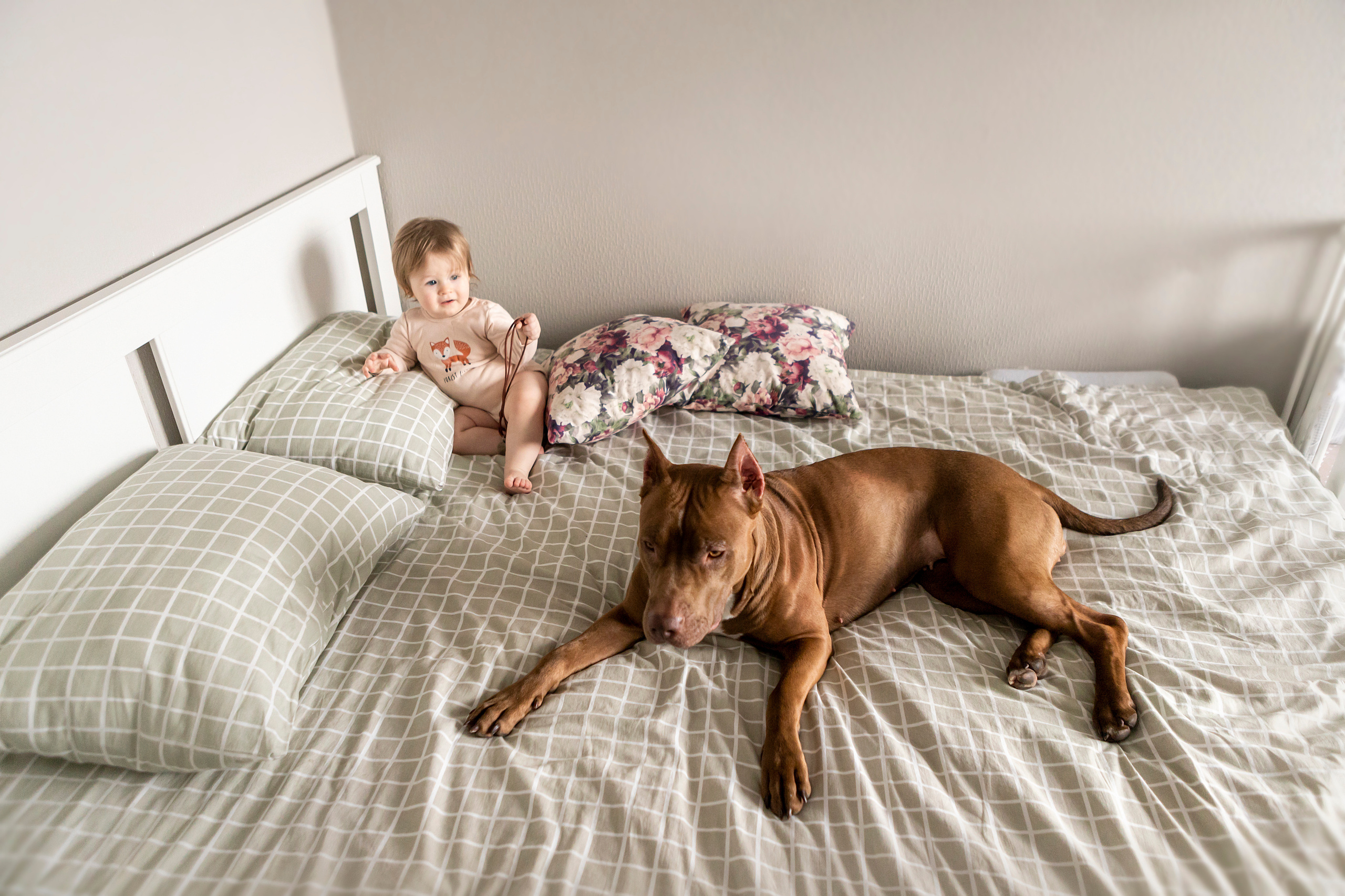 Трисс, Настя и Анюта. Фотограф — Анималист | Санкт-Петербург