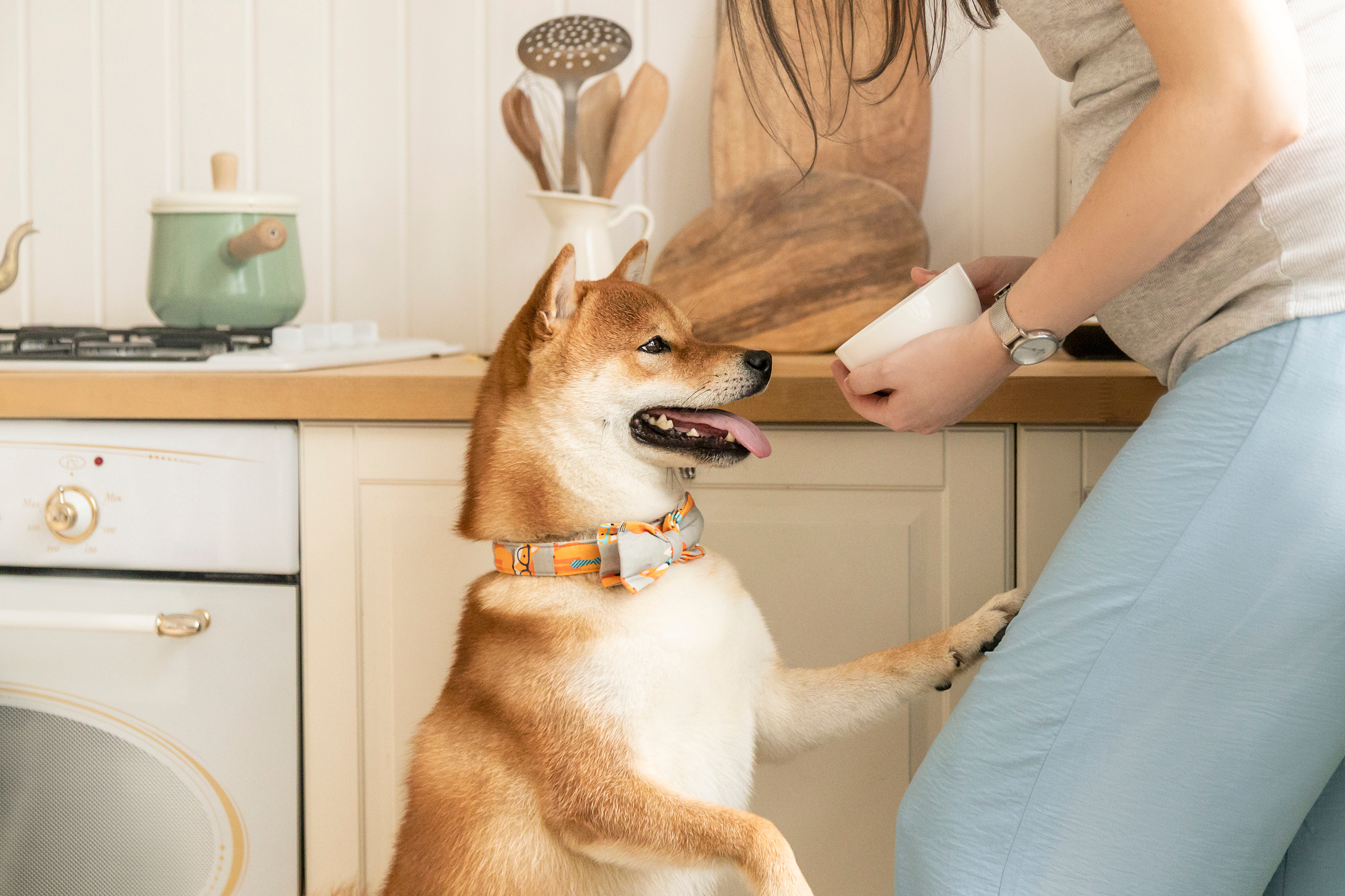 Валентина и Арчи. Фотограф — Анималист | Санкт-Петербург