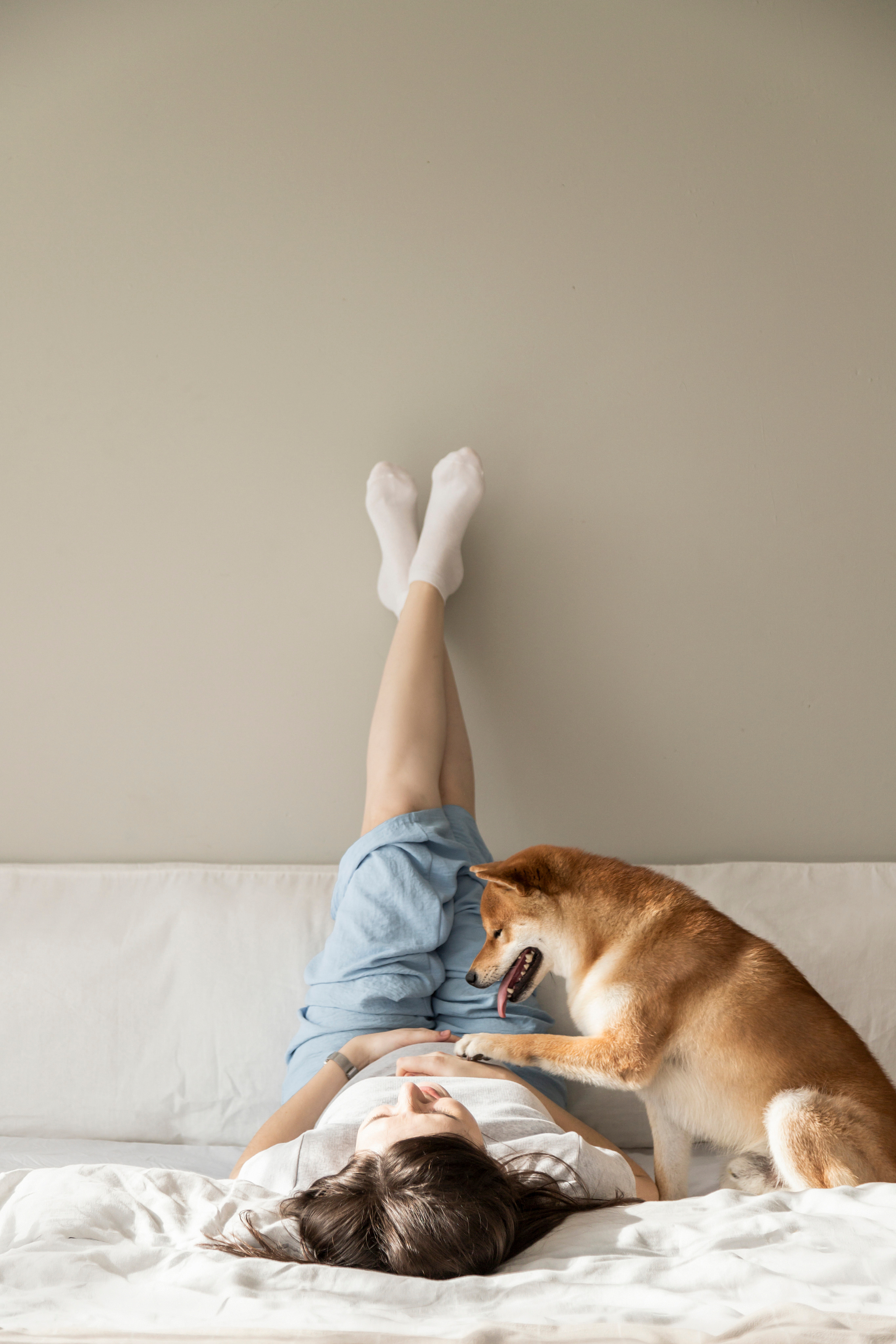 Валентина и Арчи. Фотограф — Анималист | Санкт-Петербург