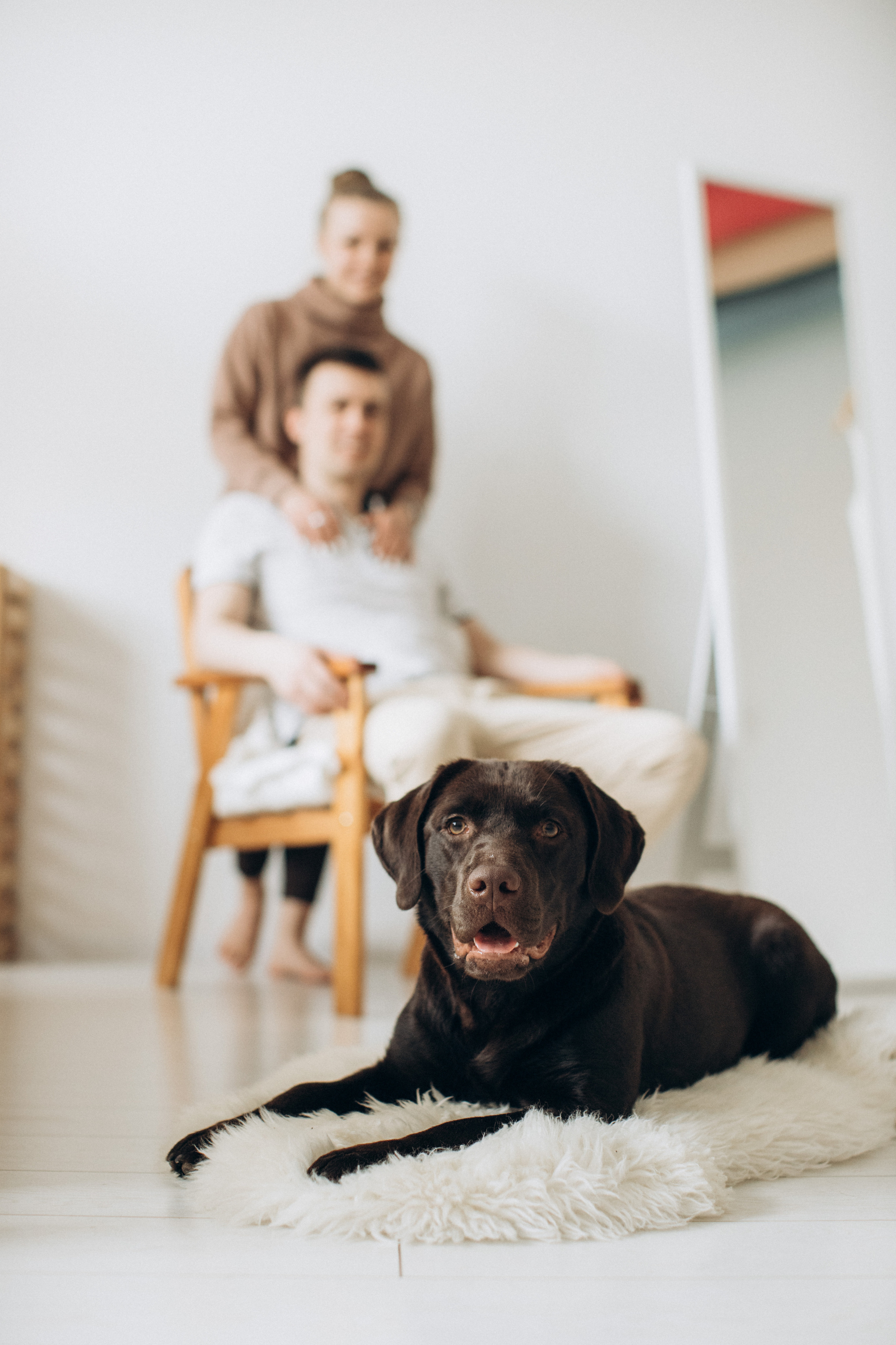 Куба и ее семья. Фотограф — Анималист | Санкт-Петербург