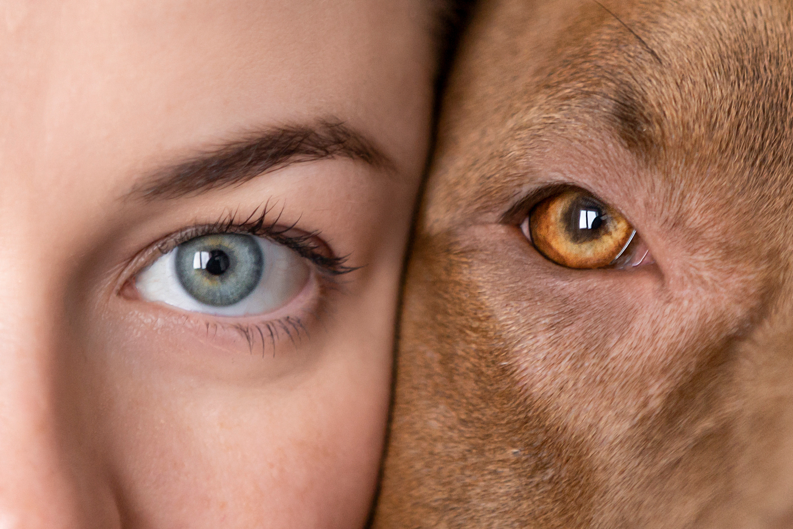 Трисс, Настя и Анюта. Фотограф — Анималист | Санкт-Петербург