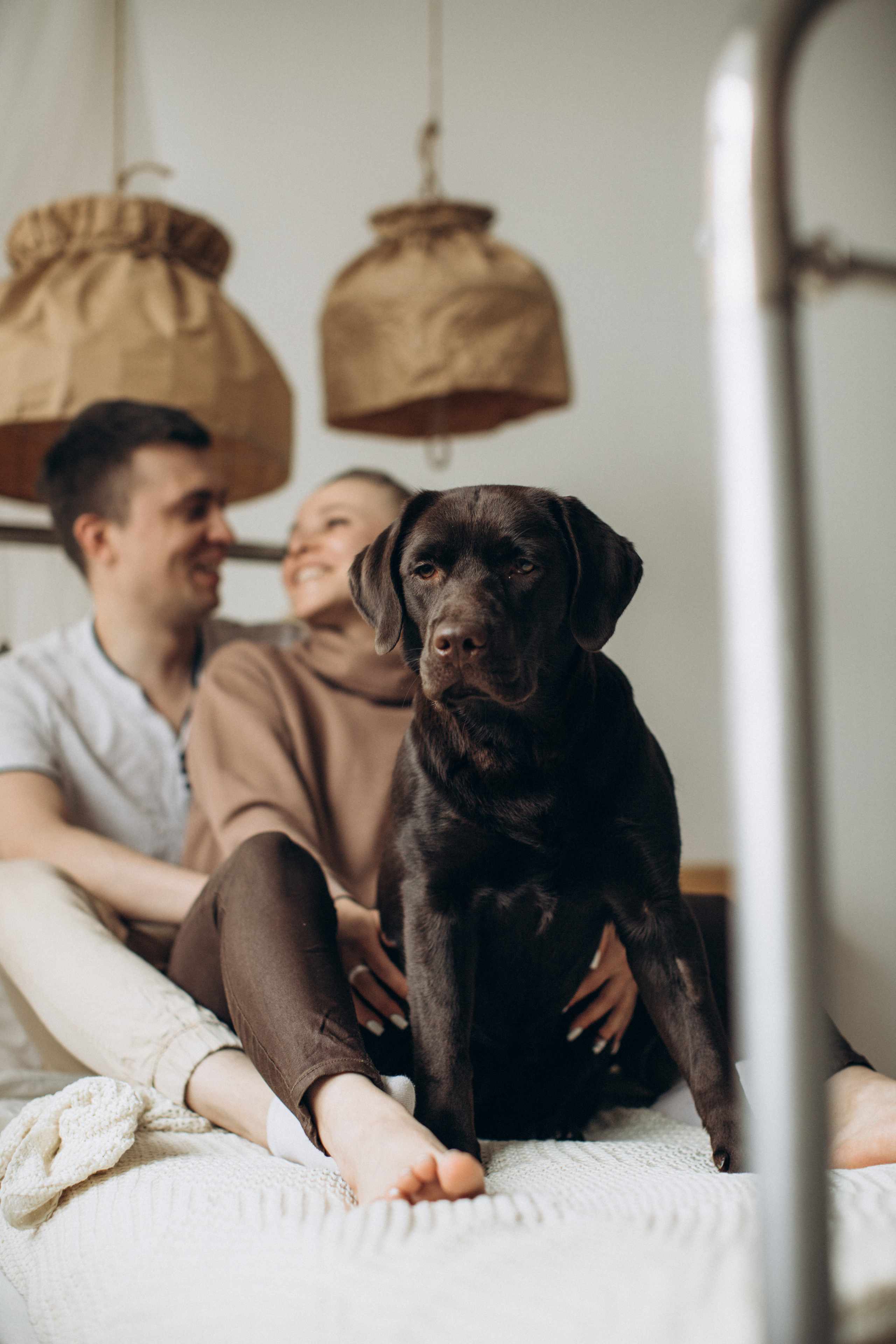 Куба и ее семья. Фотограф — Анималист | Санкт-Петербург