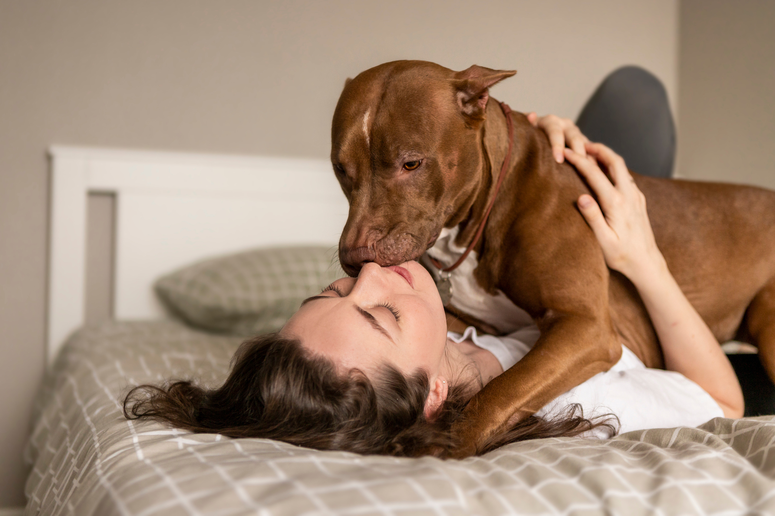 Трисс, Настя и Анюта. Фотограф — Анималист | Санкт-Петербург