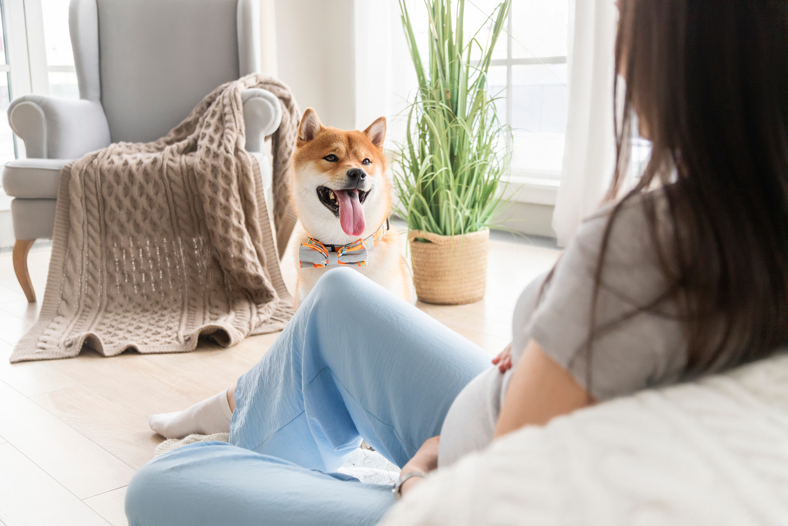 Валентина и Арчи. Фотограф — Анималист | Санкт-Петербург