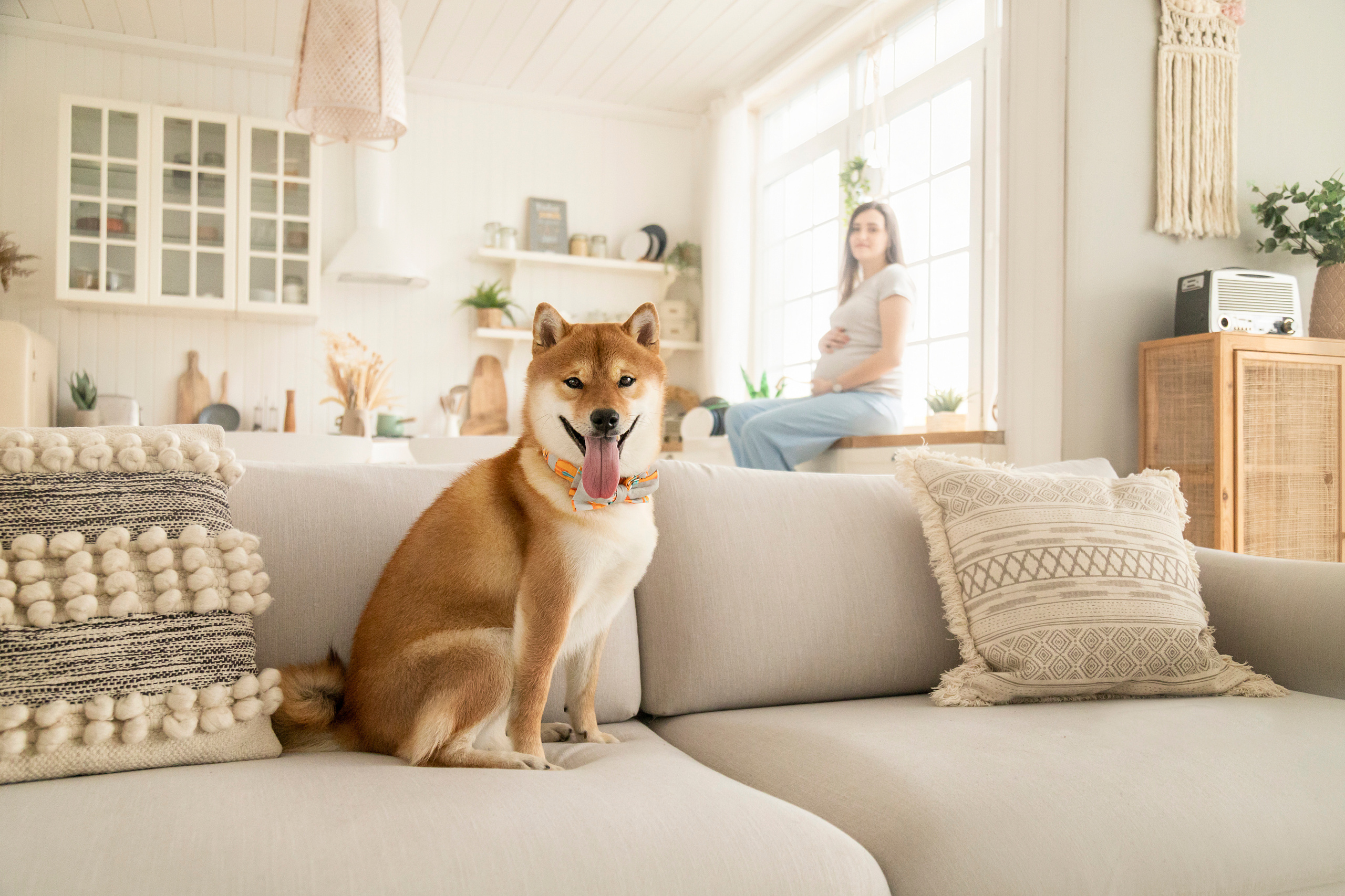 Валентина и Арчи. Фотограф — Анималист | Санкт-Петербург