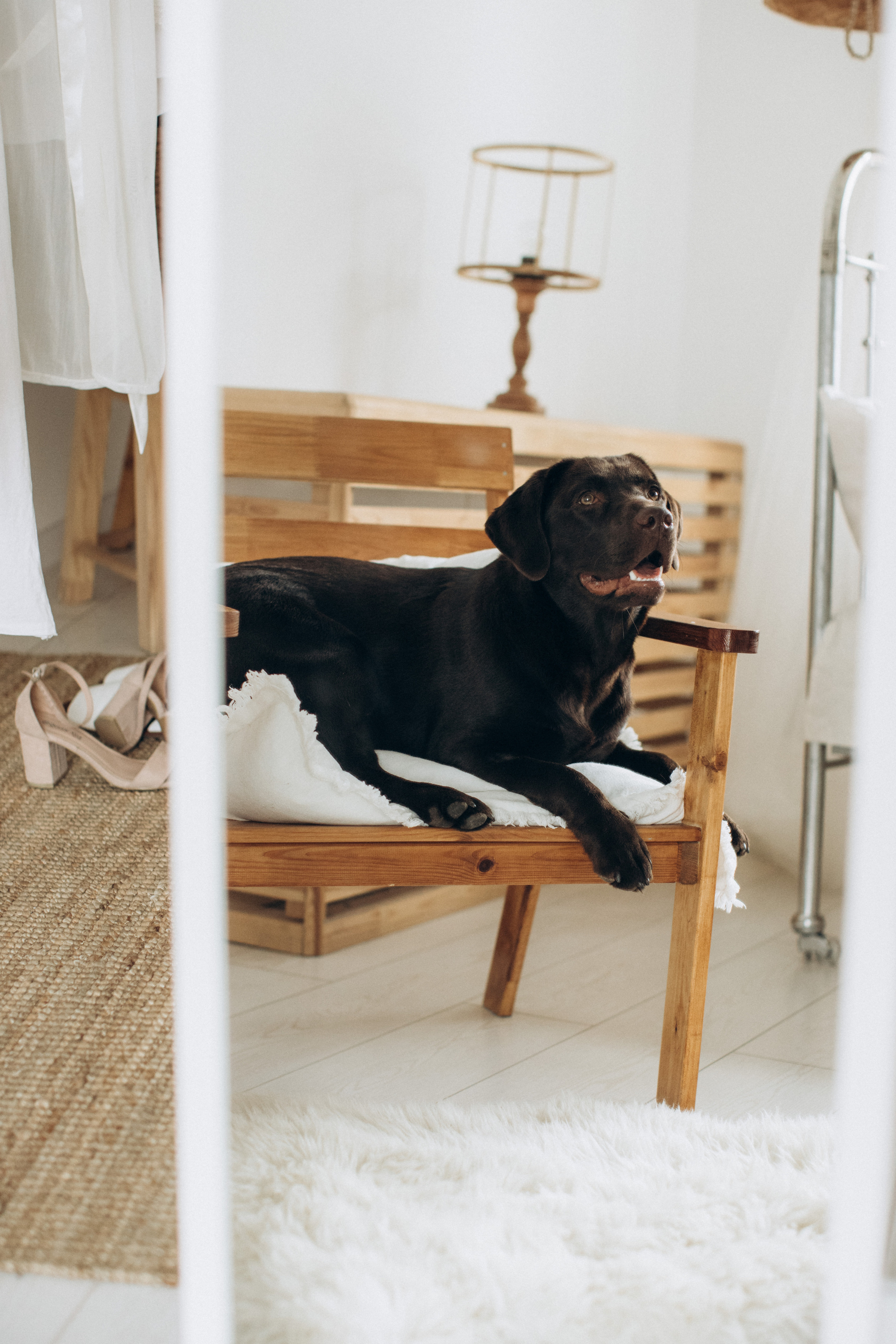 Куба и ее семья. Фотограф — Анималист | Санкт-Петербург