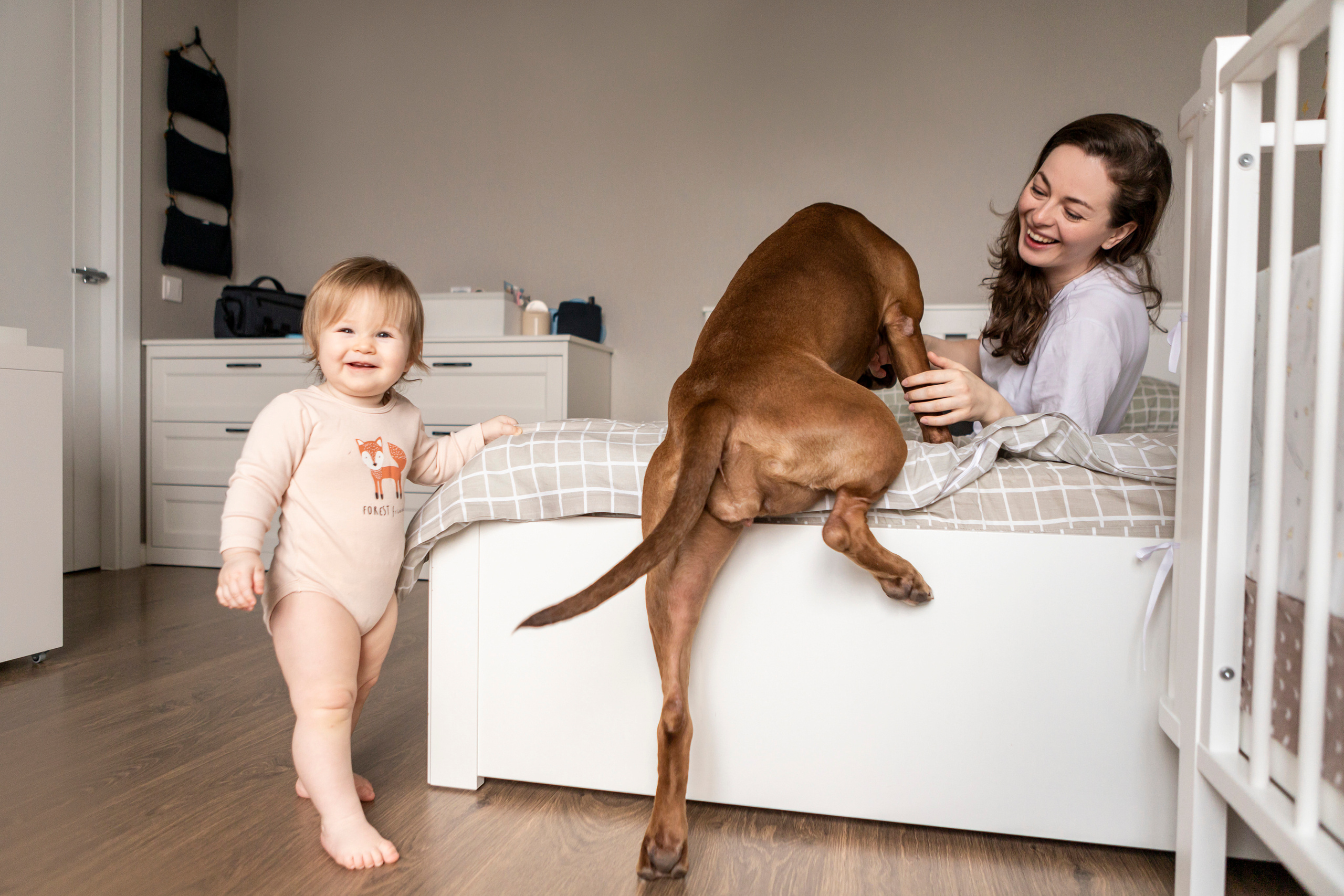 Трисс, Настя и Анюта. Фотограф — Анималист | Санкт-Петербург