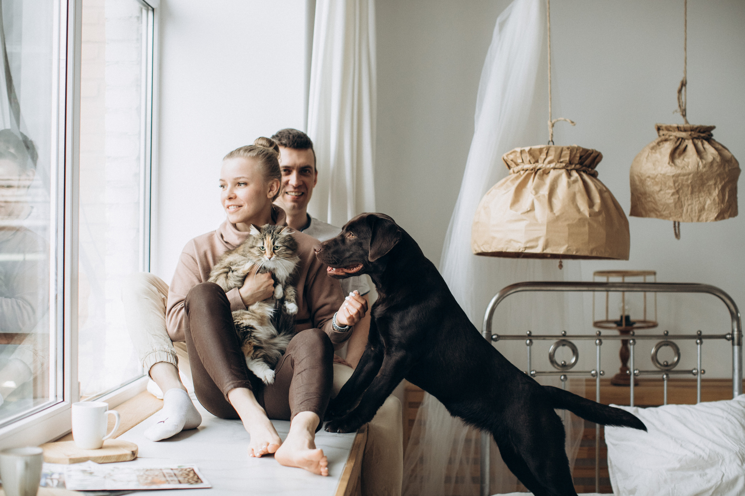 Куба и ее семья. Фотограф — Анималист | Санкт-Петербург