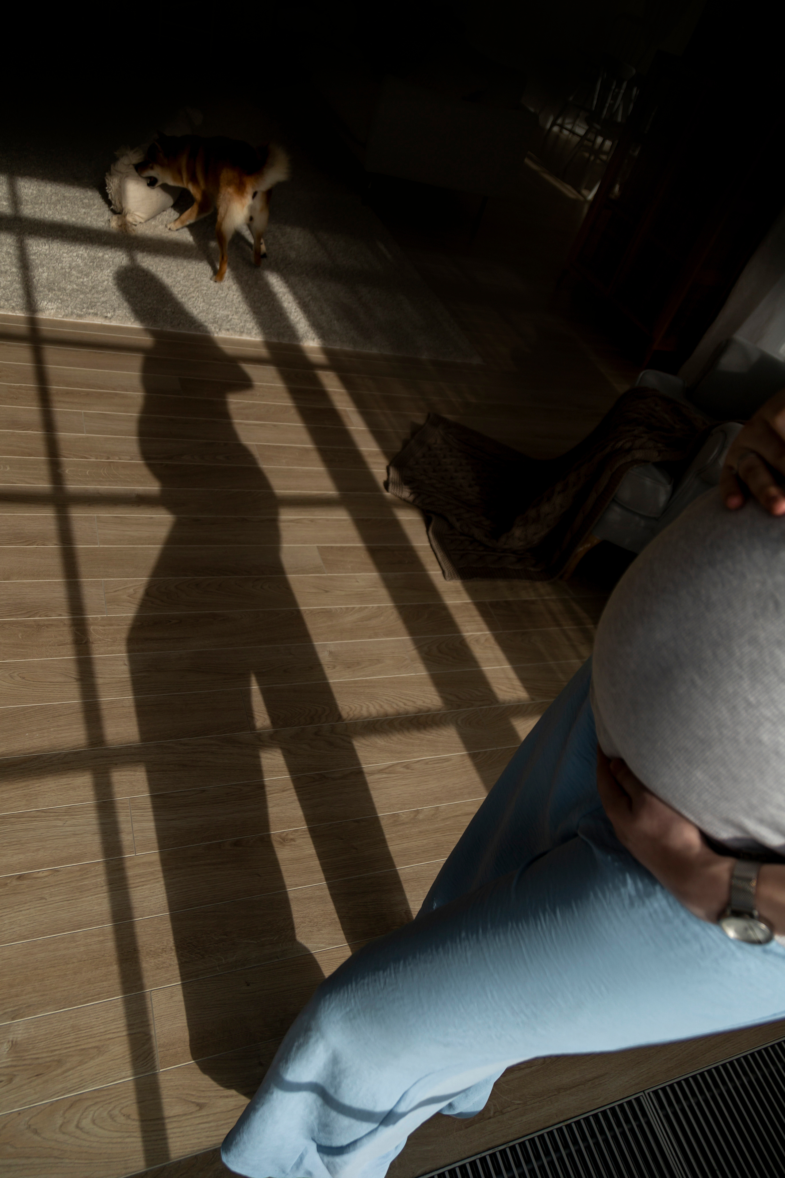 Валентина и Арчи. Фотограф — Анималист | Санкт-Петербург