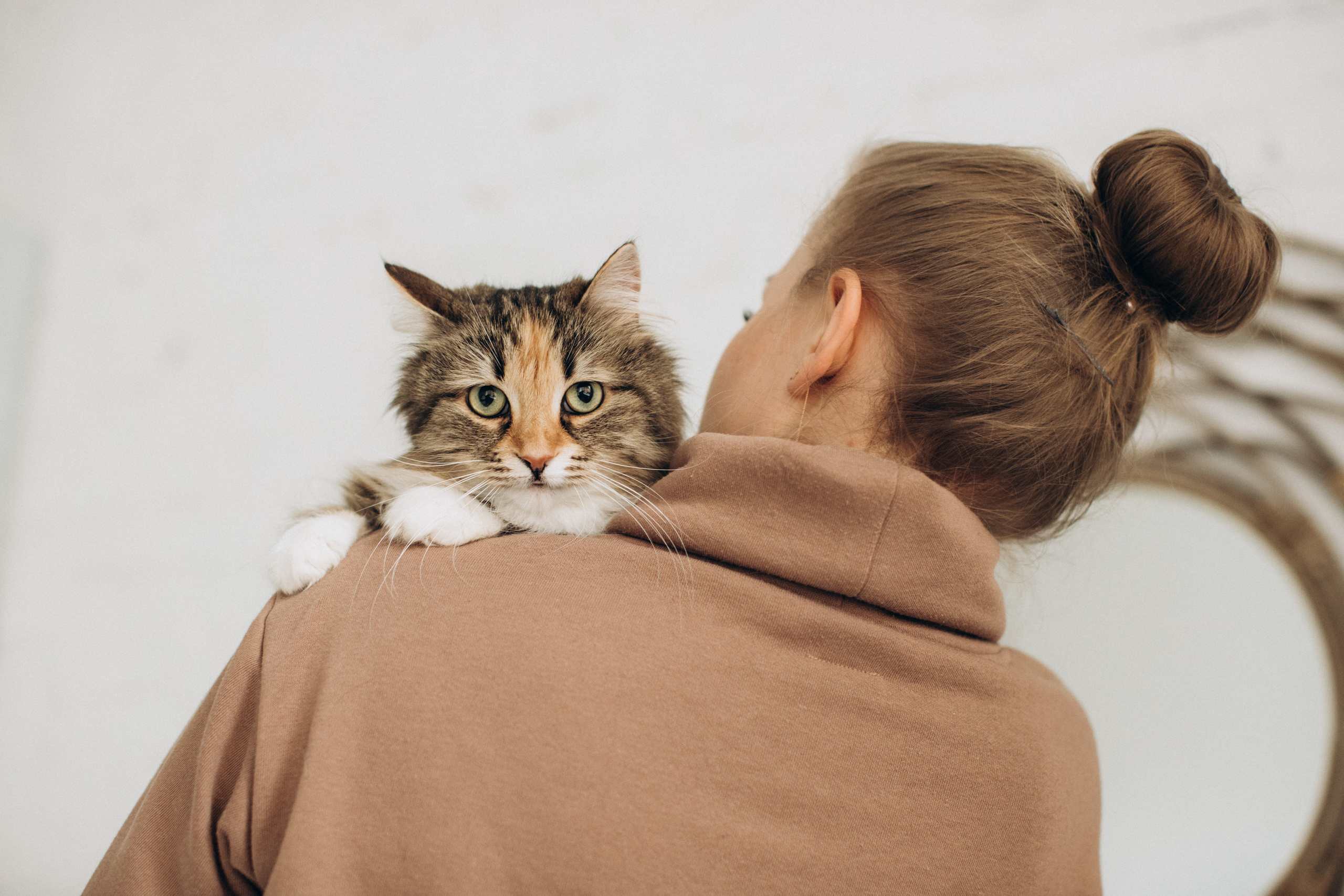Куба и ее семья. Фотограф — Анималист | Санкт-Петербург
